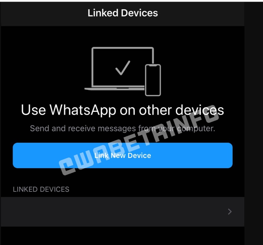 WhatsApp trabaja en una nueva función (WaBetaInfo)