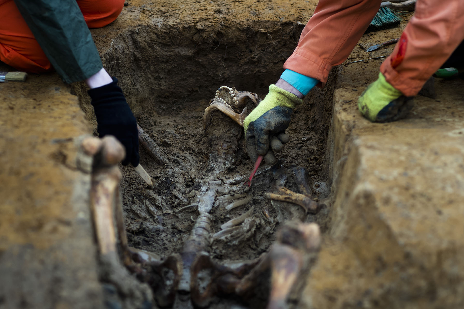 Laura Tradii, izquierda, antropóloga social de la Universidad de Cambridge y Werner Schulz, derecha, un técnico de excavación exhuma los restos de un soldado soviético durante una búsqueda de caídos de la Segunda Guerra Mundial cerca de la aldea de Klessin, en Alemania (Foto AP / Markus Schreiber)
