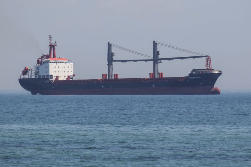 Dos barcos más de granos zarpan desde Ucrania tras la apertura del tercer puerto