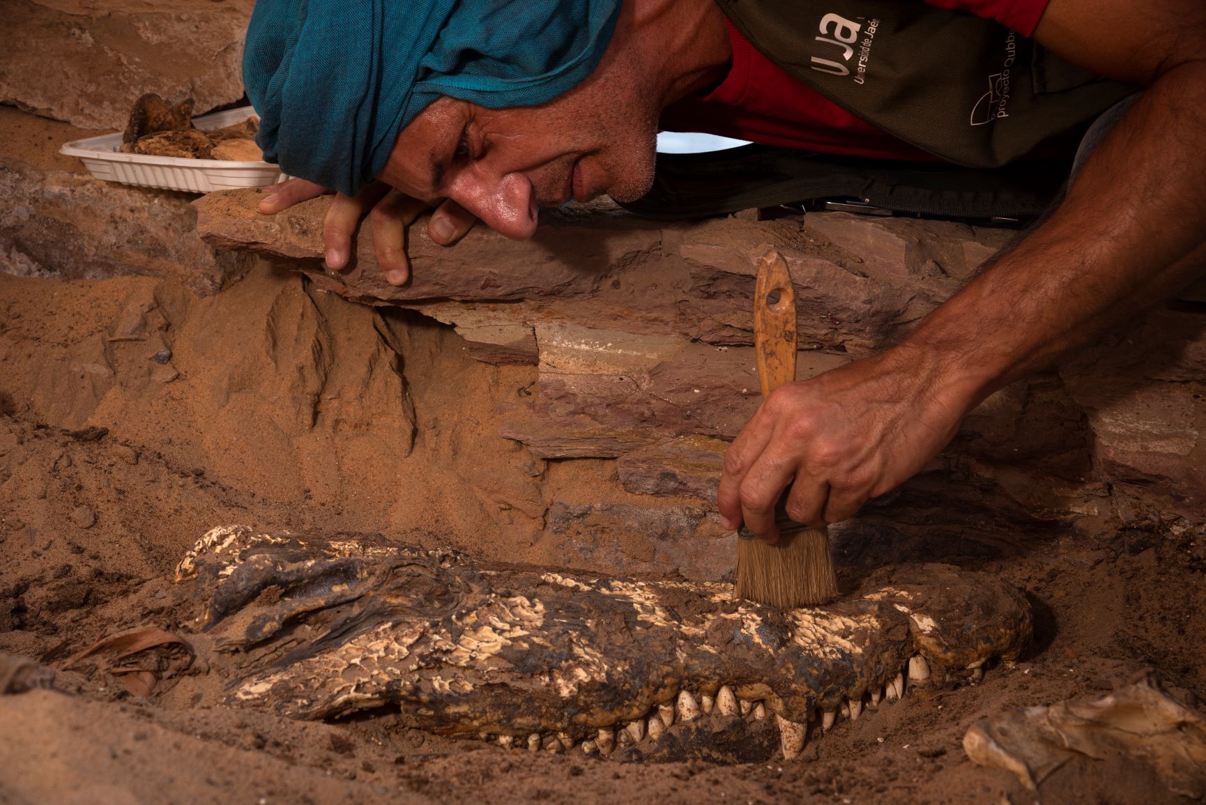 Sorpresa en una tumba egipcia: arqueólogos hallaron diez momias de cocodrilos