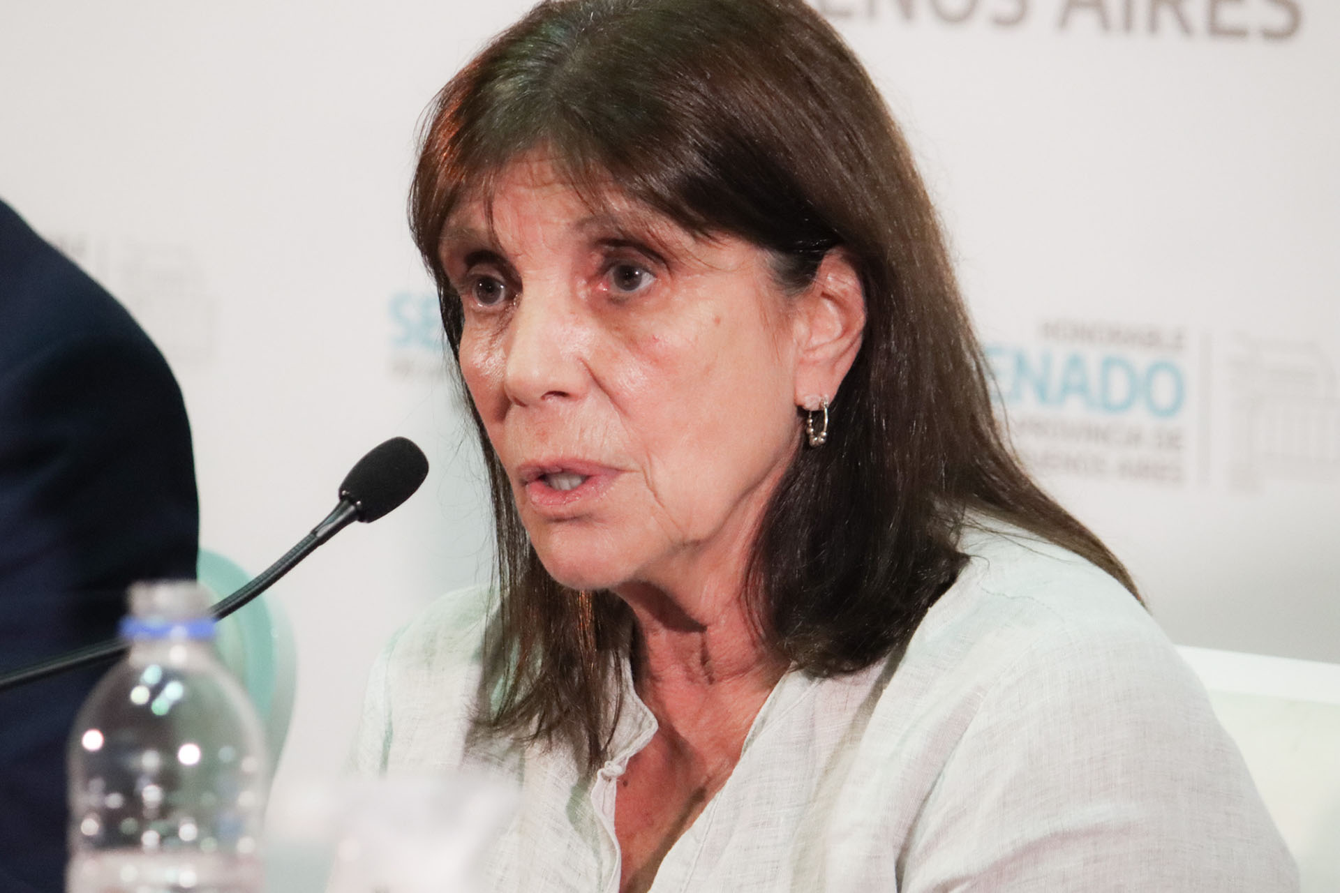 Teresa García, Senadora Nacional del Frente de Todos