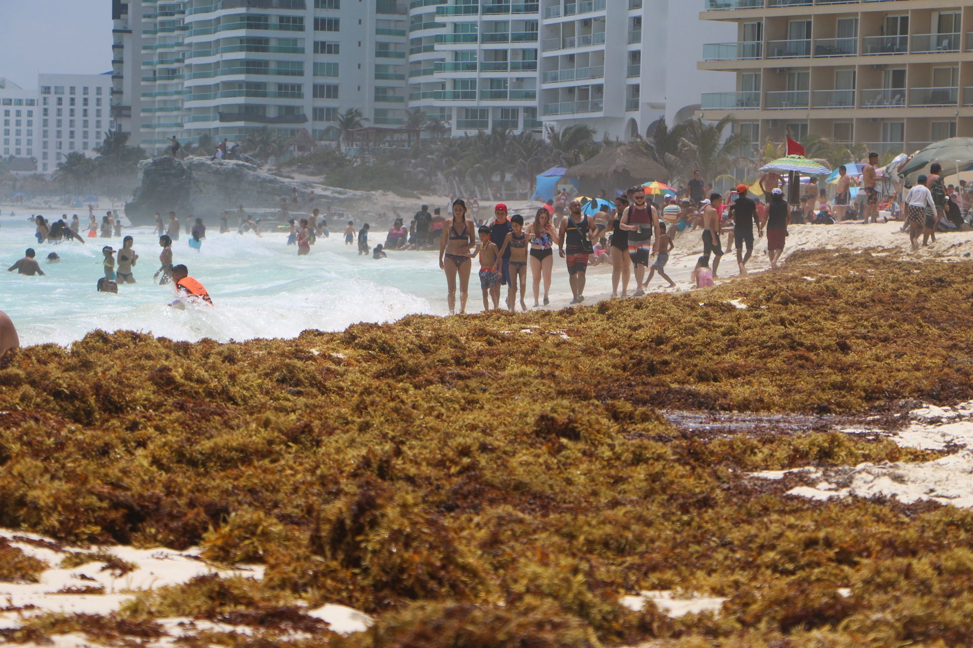Solo 5 de 80 playas se encuentran libres de sargazo según el monitoreo  diario en Quintana Roo - Infobae