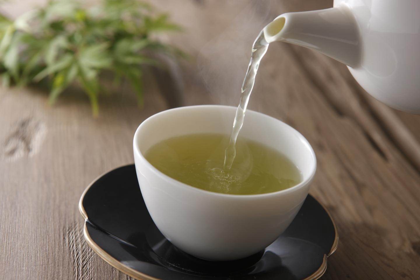 Los participantes de la investigación tomaron té verde durante 18 meses debido a los componentes nutritivos que aporta
