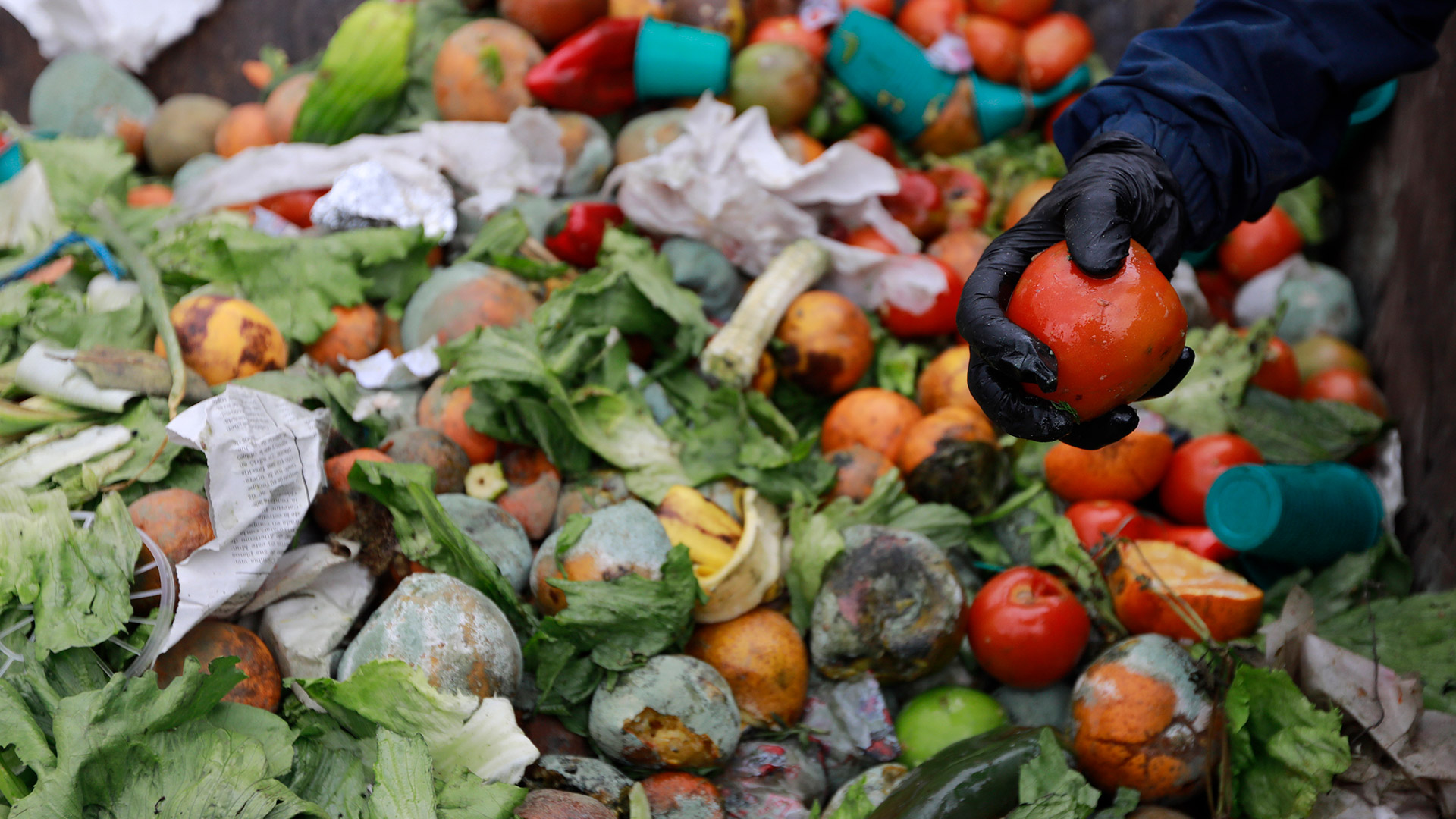 Desperdicio de alimentos: el 40% de la comida termina en la basura - Infobae