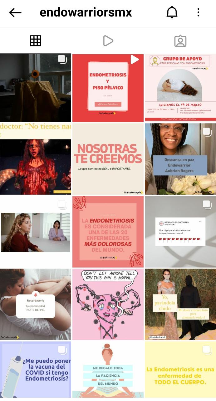 El pasado 14 de marzo, en el marco del Día Mundial de la Endometriosis, integrantes de la comunidad de Endowarriors participaron en su primer grupo de apoyo psicológico (Foto: Instagram/  @endowarriorsmx)