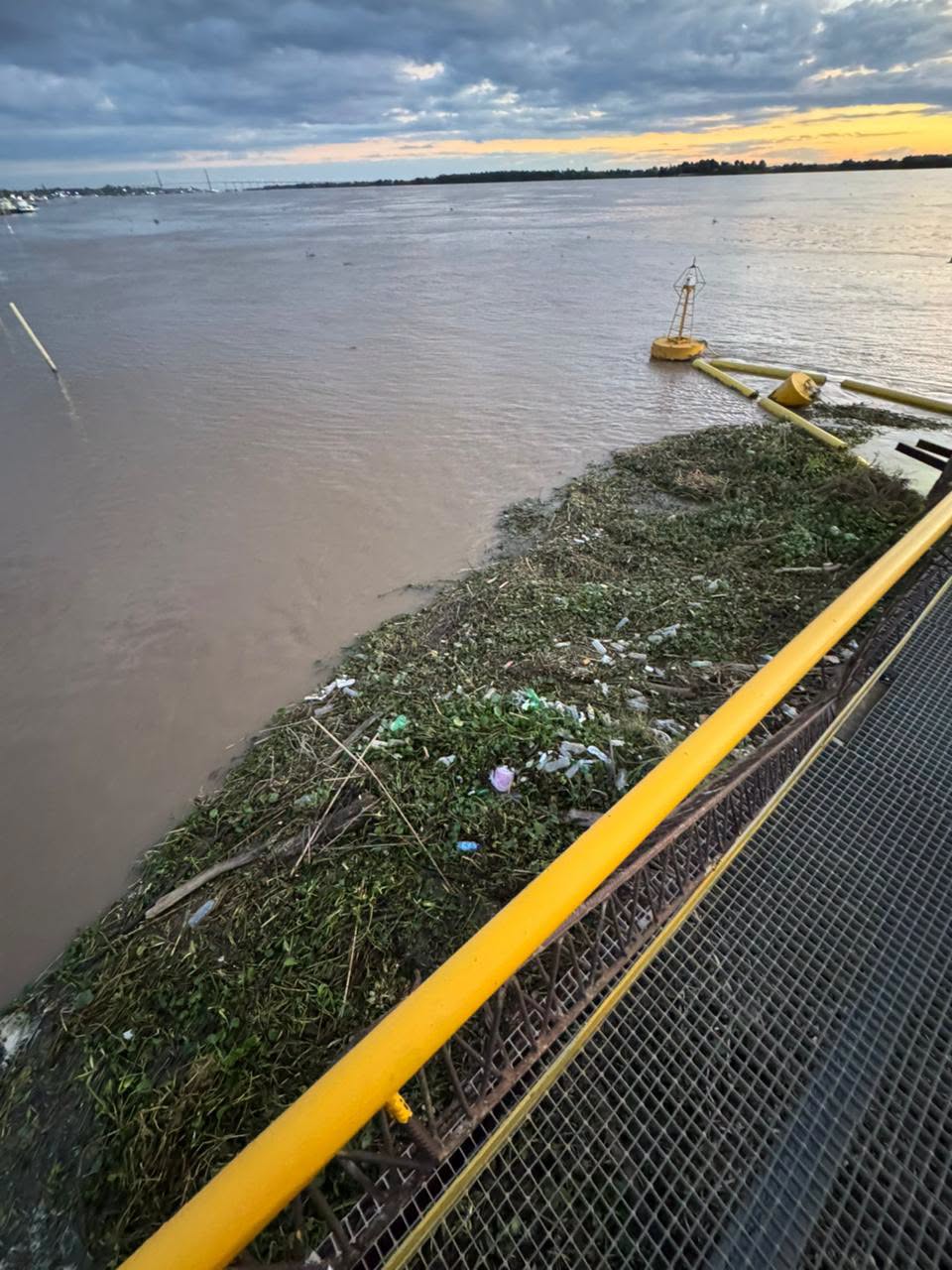 Una invasi&oacute;n de camalotes bloque&oacute; la planta potabilizadora de Rosario y dej&oacute; a la regi&oacute;n sin agua durante varias horas