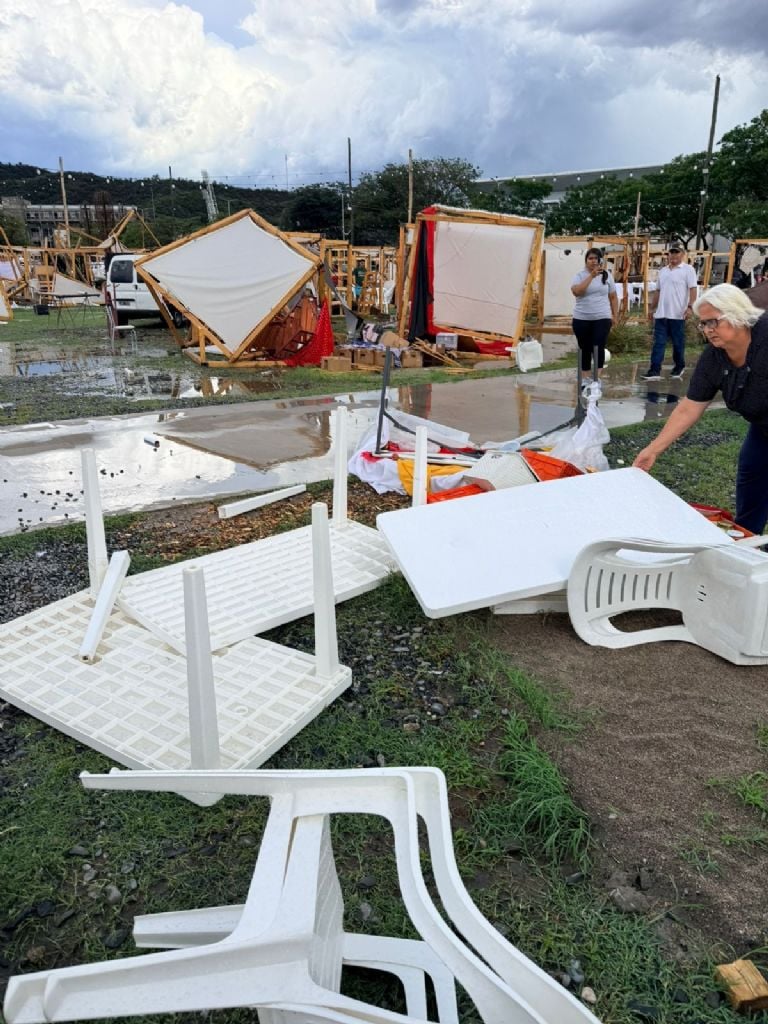 La venta de autos eléctricos subió casi un 500% en el último año gracias al cupo del Gobierno que no paga arancel de importación 