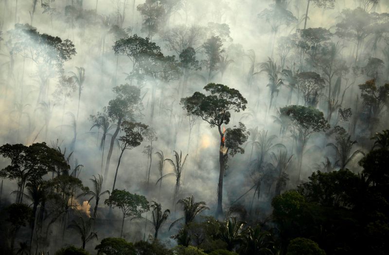 Los incendios en la Amazonía brasileña se dispararon un 120 % en mayo