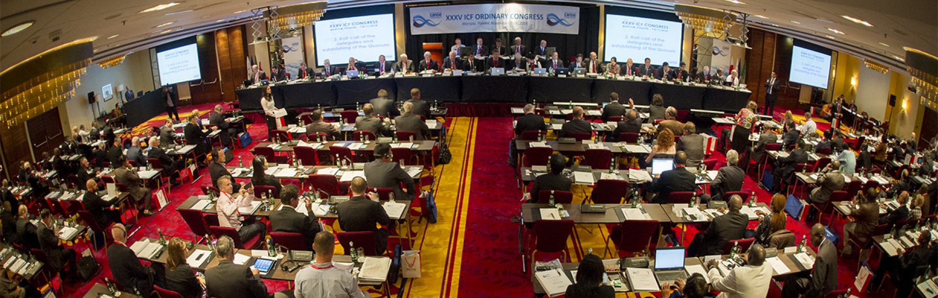 Congreso de la Federación Internacional de Canotaje dentro de un mes en Roma