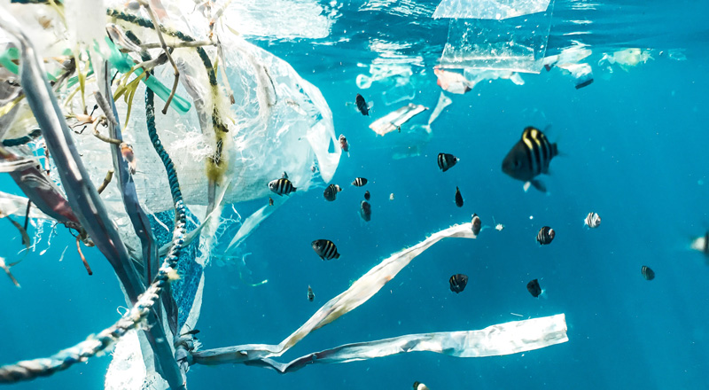 El 80 % de los residuos encontrados en los mares son de plástico, principalmente bolsas y botellas.