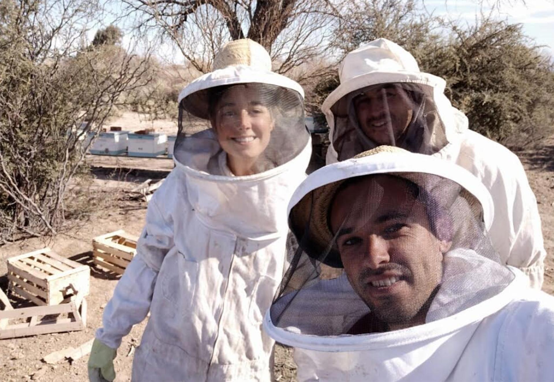 Beeflow muestra cómo potenciar los cultivos a base de abejas