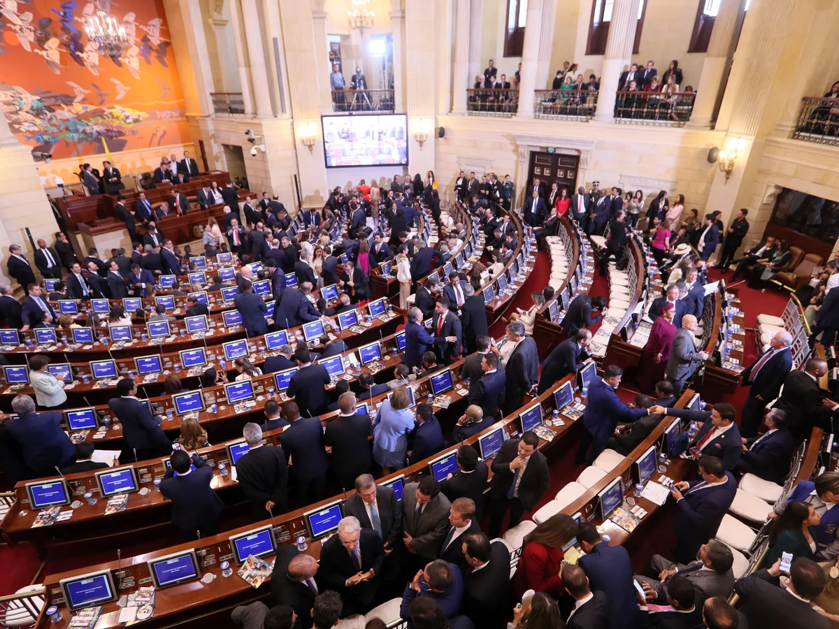 El reto del próximo Congreso de la República es reformar la organización electoral: MOE