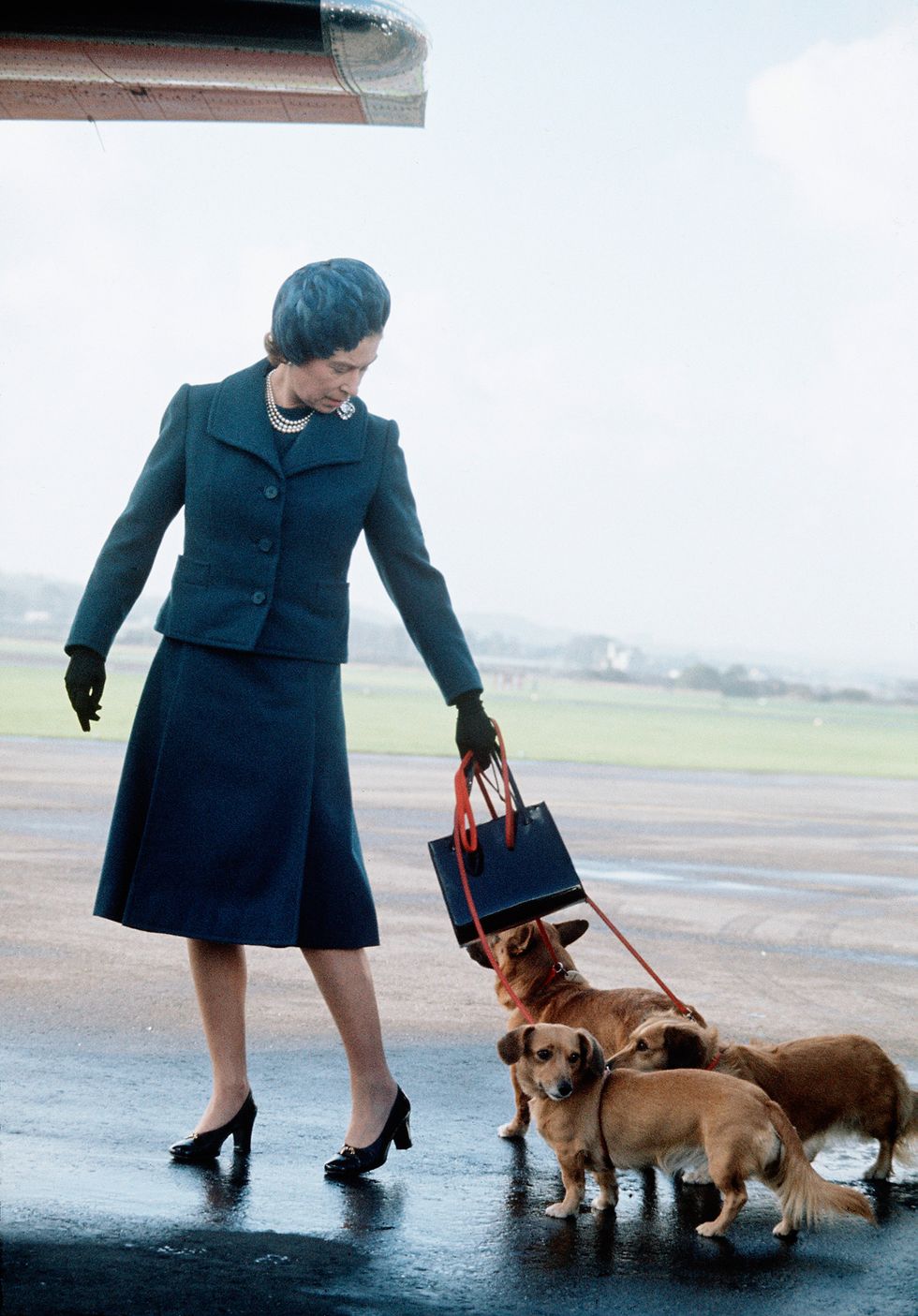 La Reina Isabel II paseando con sus perros corgi, sus mascotas fueron sus grandes compañeros (Getty Images)