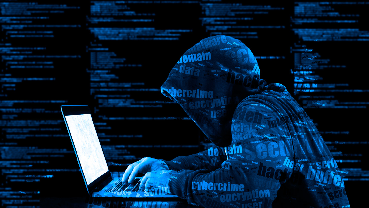 cybercriminal.  (photo: ESAN)