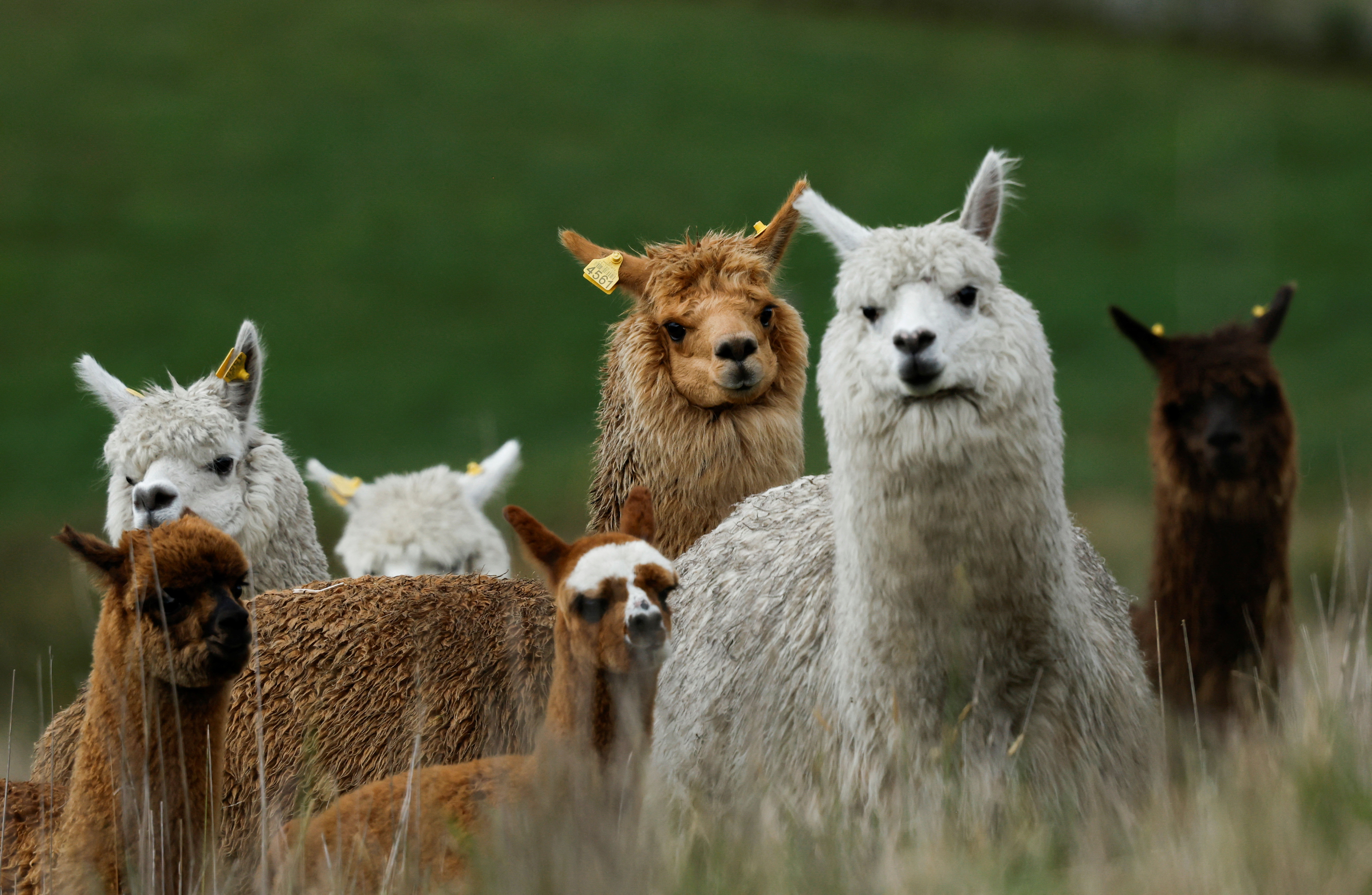 “¡Quiero vale cuatro!“: con Messi como protagonista, el divertido video de la nueva camiseta de la selección argentina para el Mundial