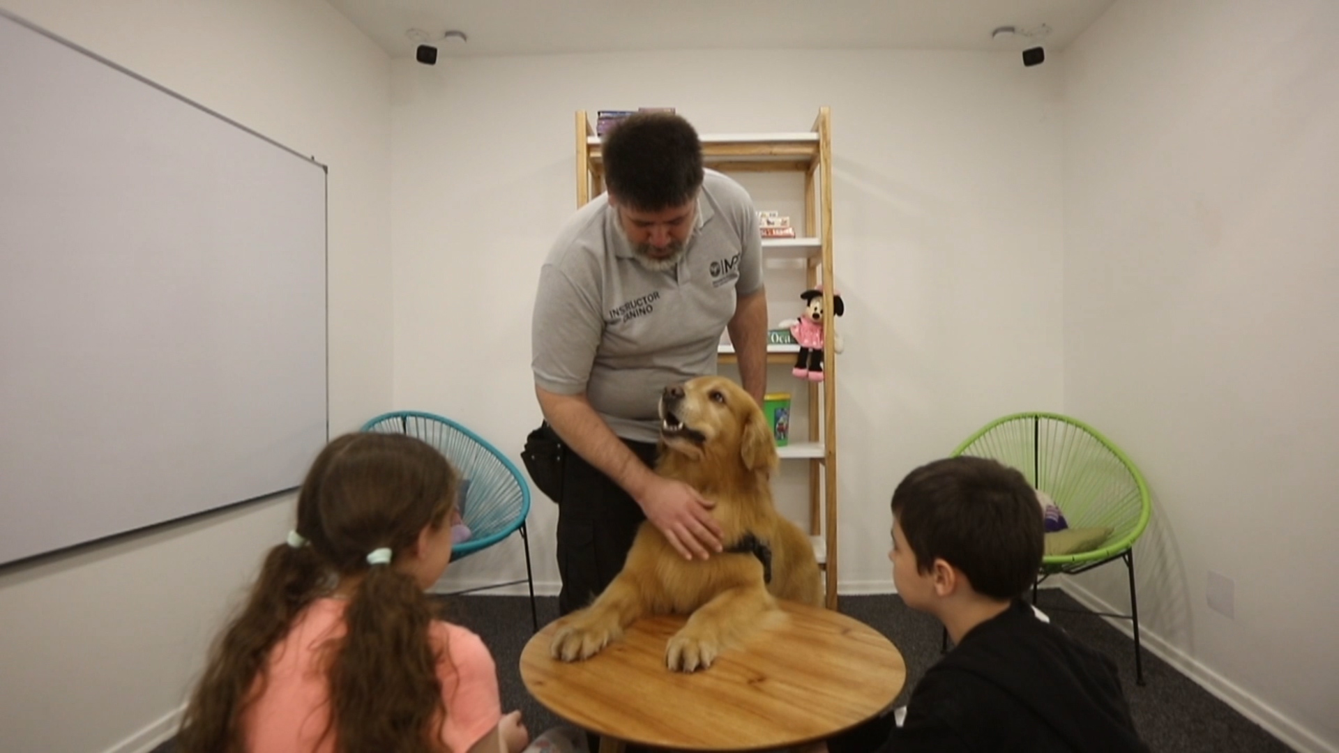 La organización entrena “perros de asistencia, perros para terapia, perros que trabajan en situación mixtas” que son útiles en “intervenciones o apoyos terapéuticos, pero en espacios públicos”