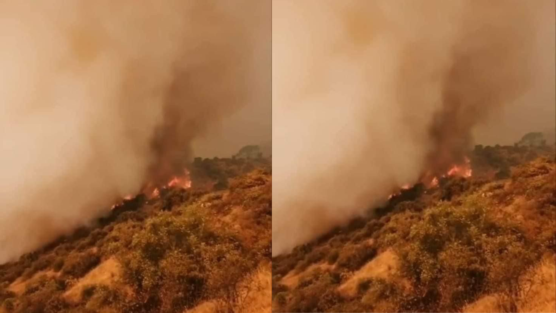 Cusco Reportan Incendio Forestal En Machu Picchu Causado Por Un Rayo Infobae 8719