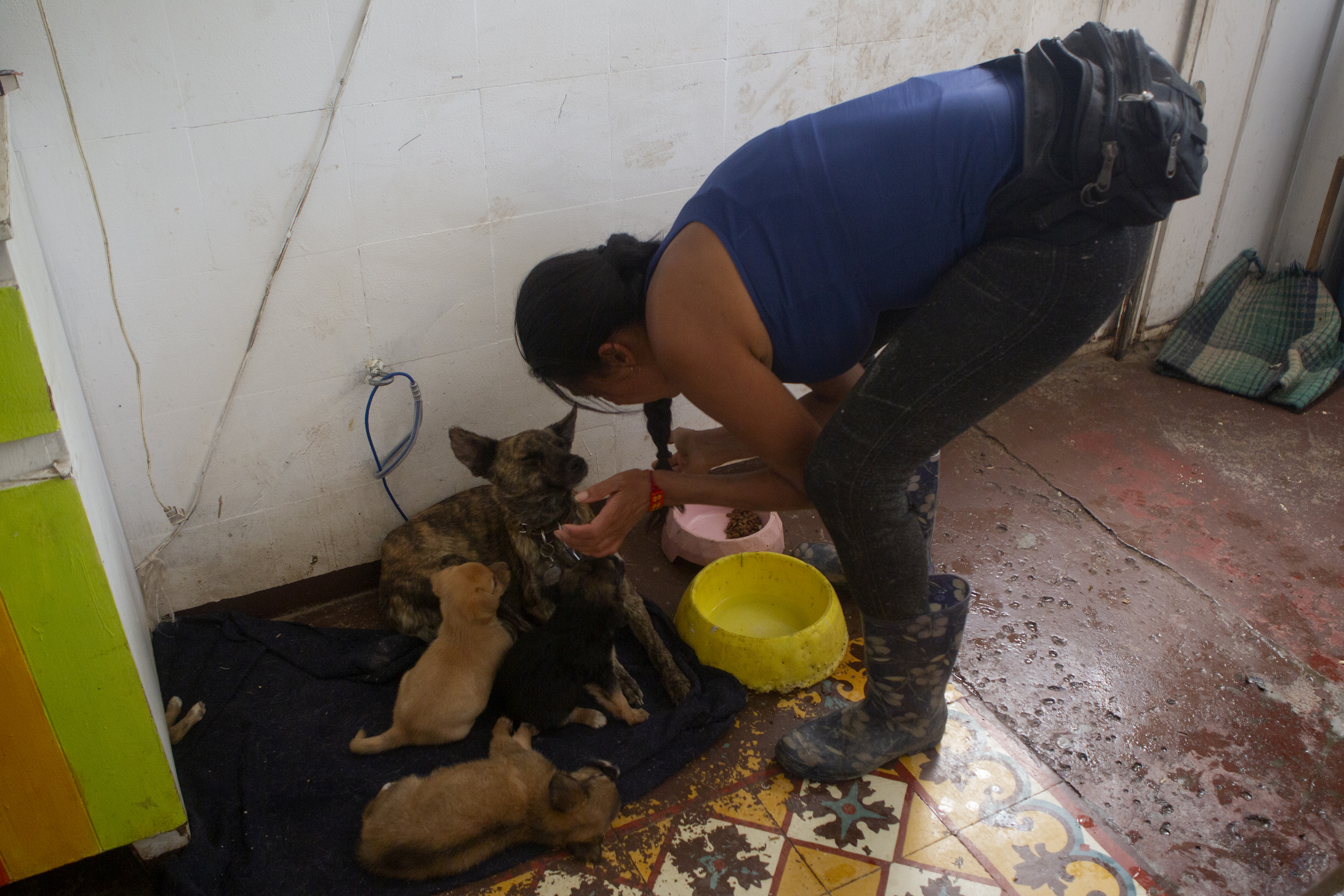 “Ahorita ya no hay poder económico para sostener a los animales, no hay trabajo”dijo Dinah a Infobae México
Foto: Karina Hernández / Infobae