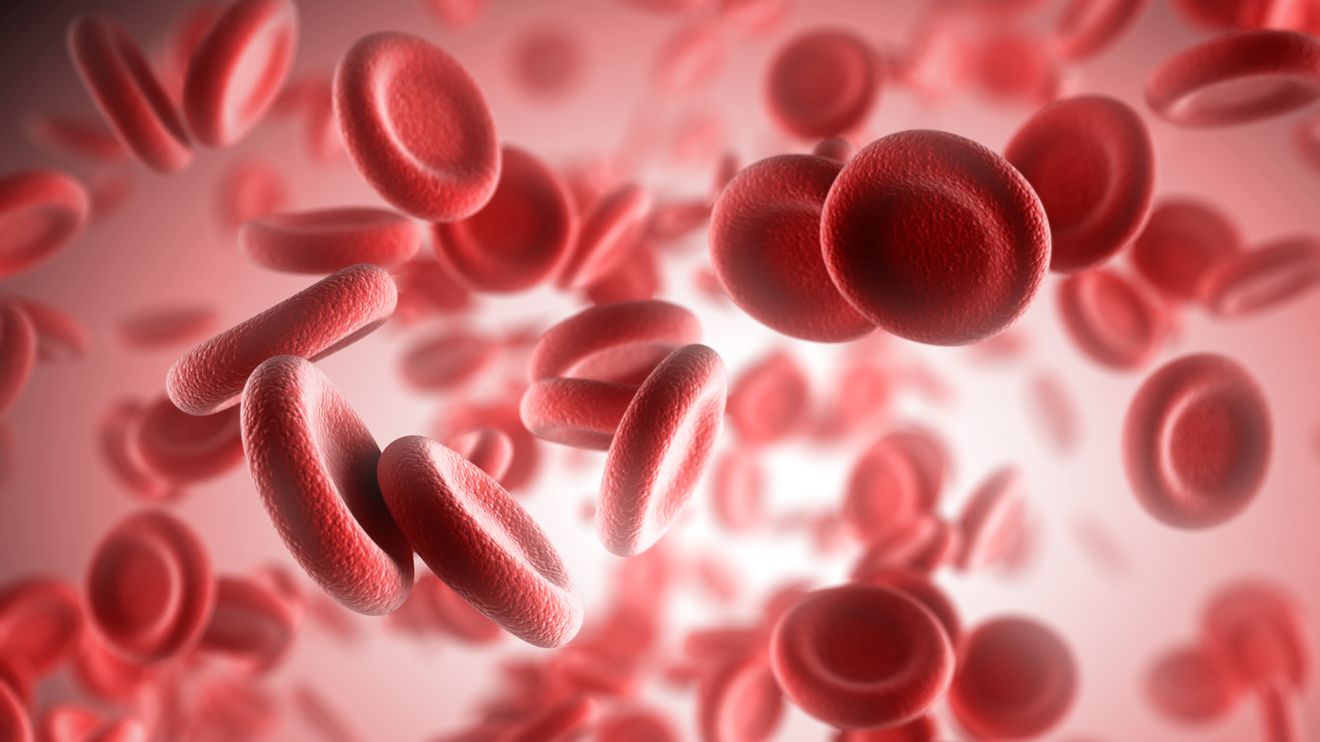 La anemia aparece cuando la sangre no tiene suficientes glóbulos rojos (Getty Images)