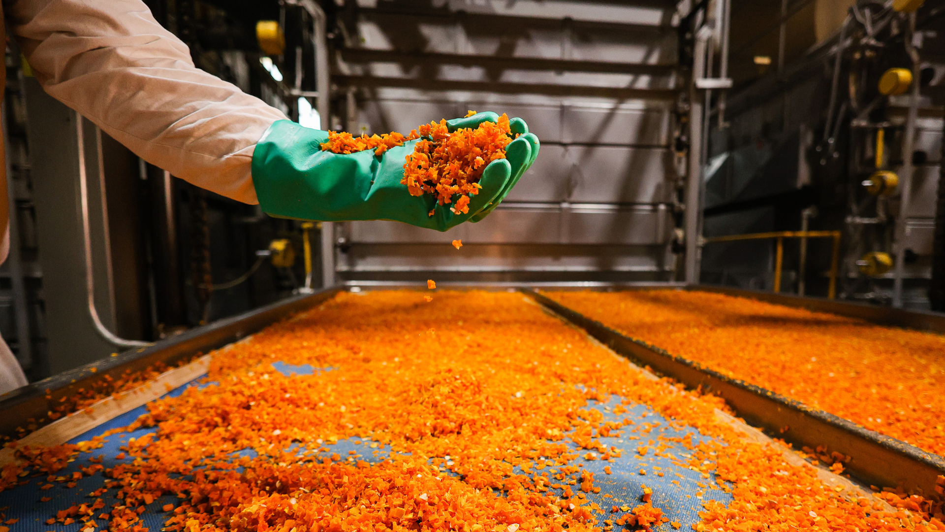 Una multinacional cerró una planta de producción en Mendoza y despidió a todos sus empleados