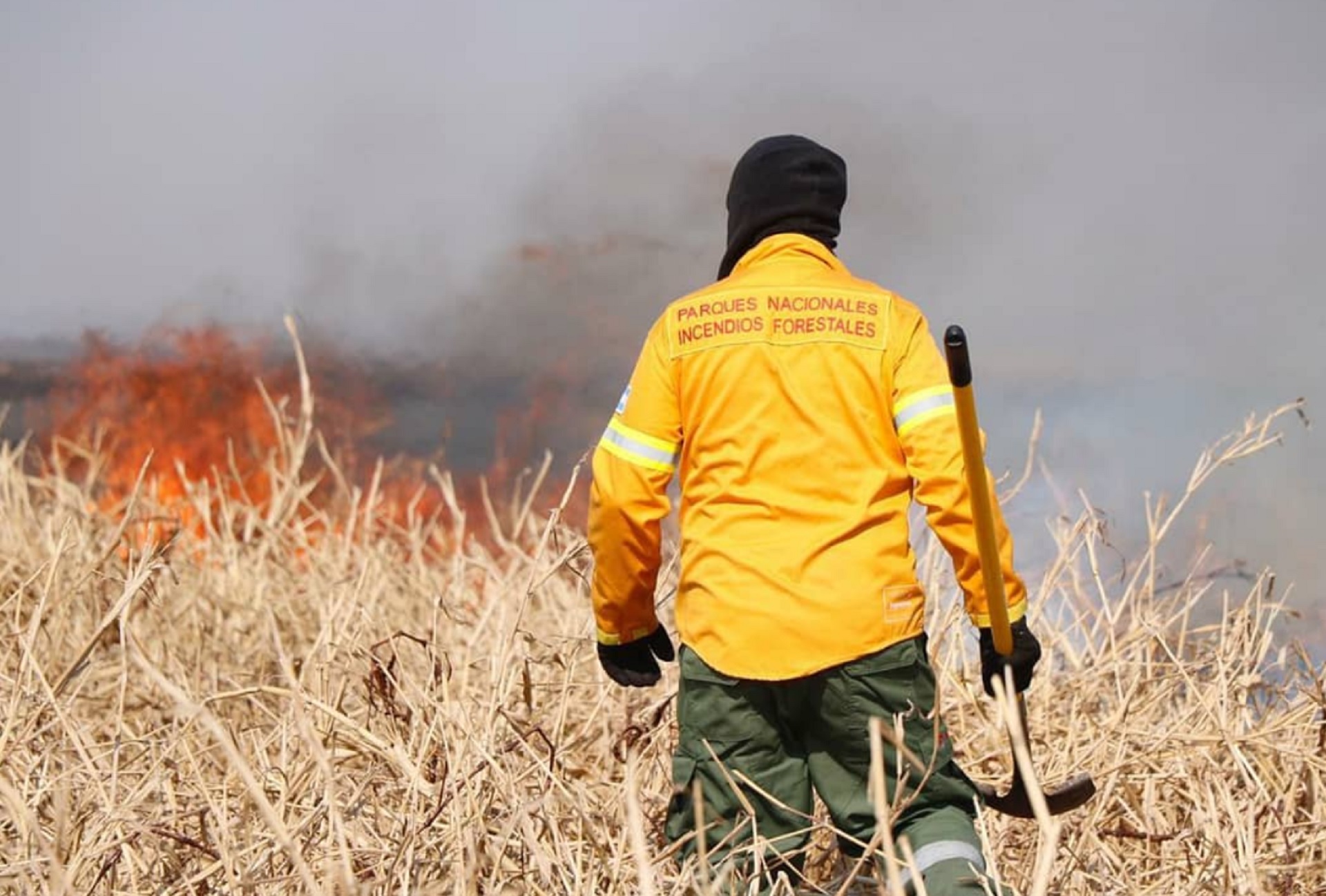 Los equipos trabajan en la extinción de los focos de incendio en islas del río Paraná