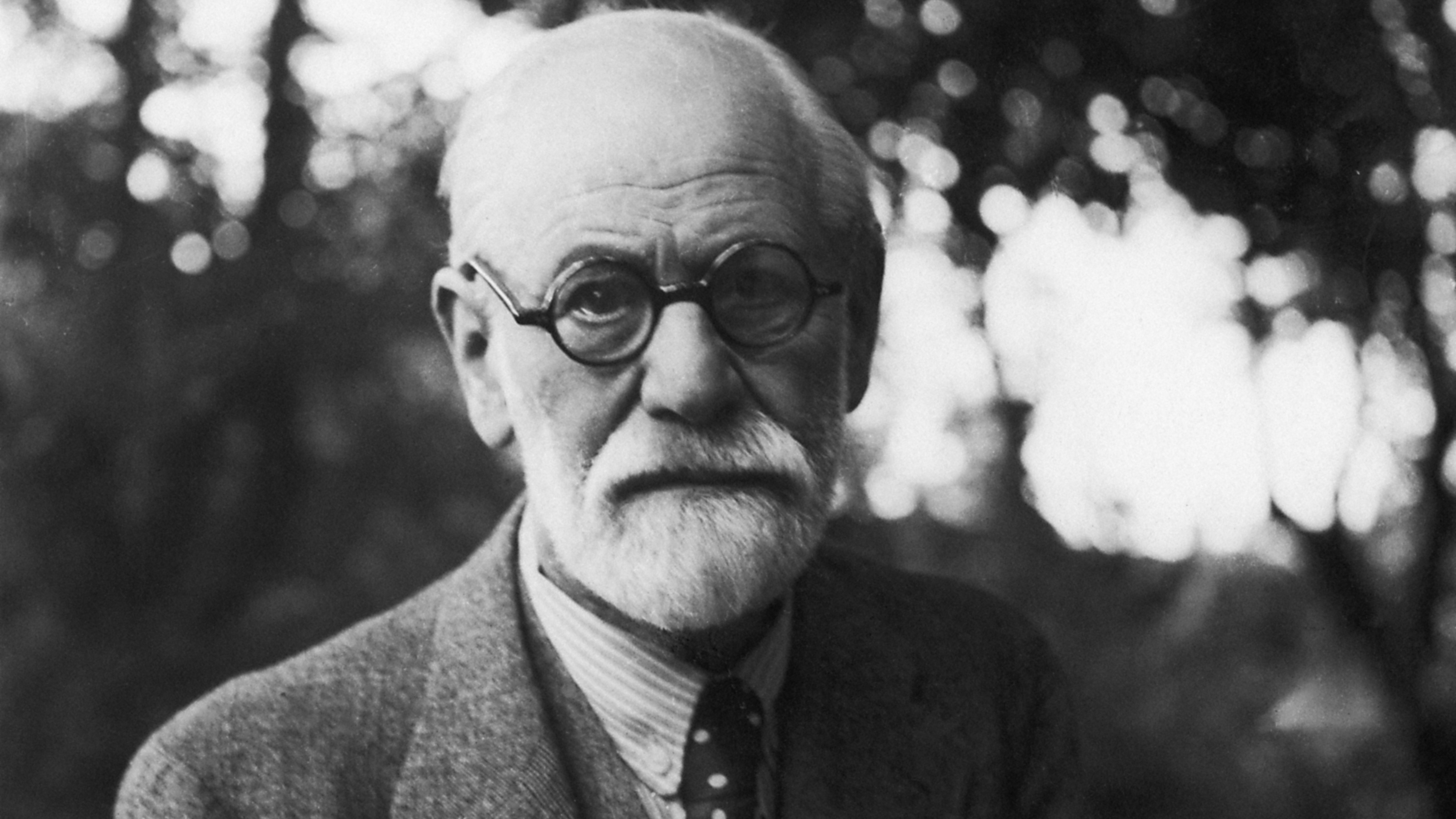 Sigmund Freud (1856 - 1939) 