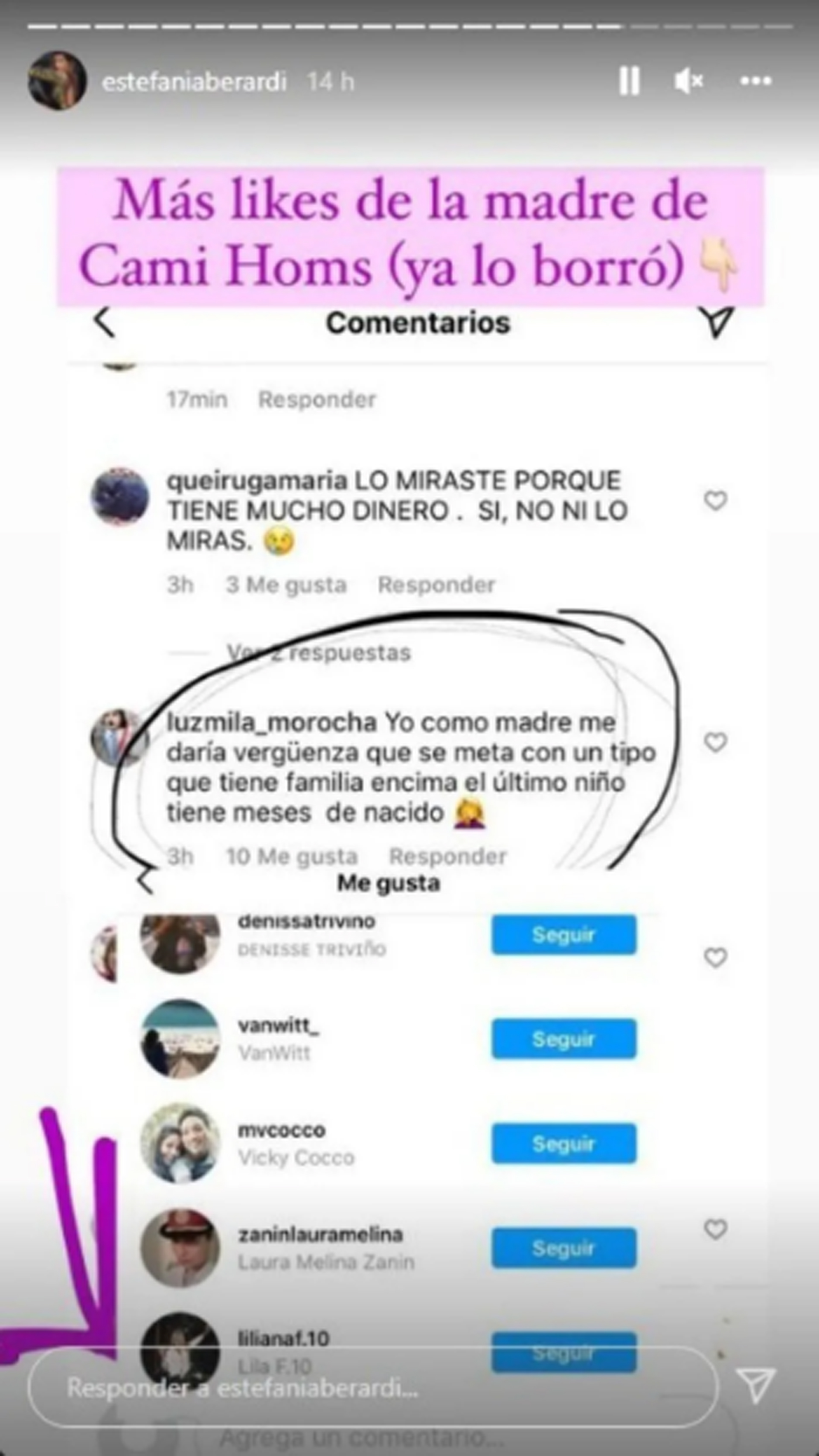 El polémico comentario que la mamá de Camila Homs, ex de Rodrigo de Paul, likeó en Instagram (Foto: Instagram)