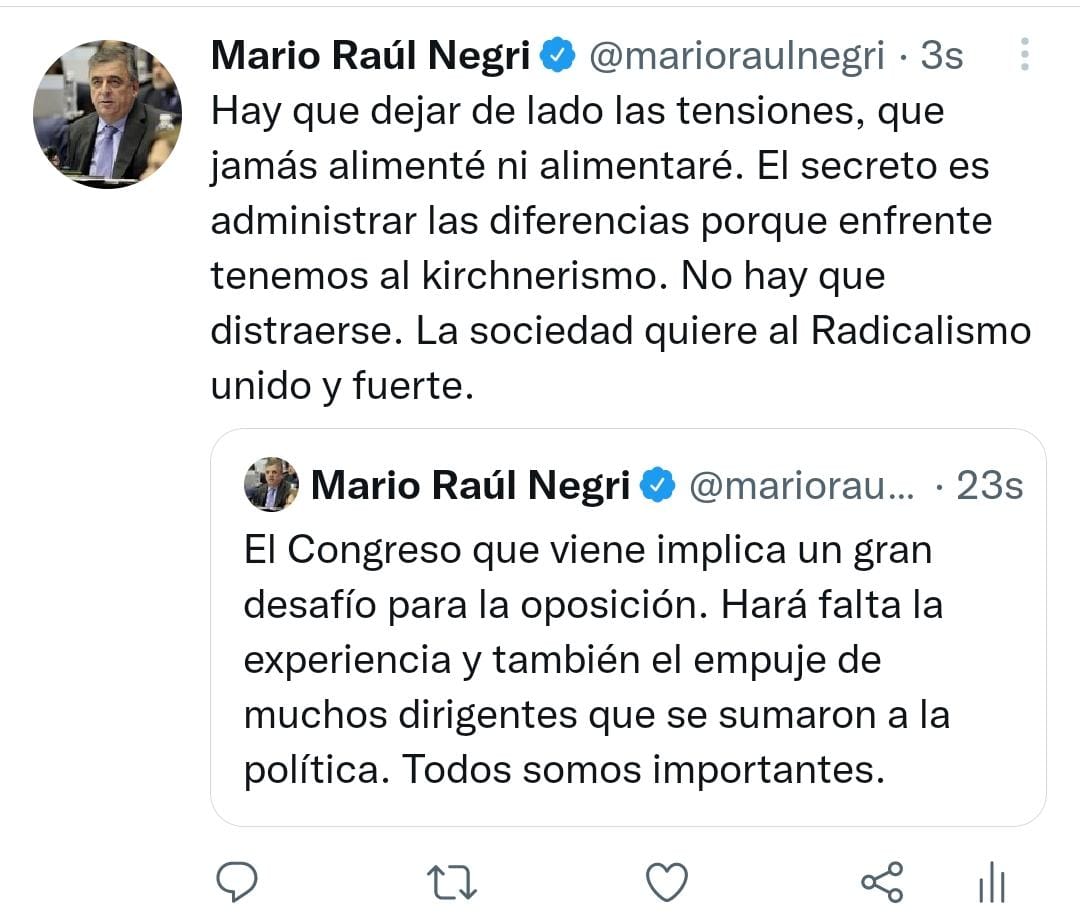El mensaje de Mario Negri en medio de la interna radical