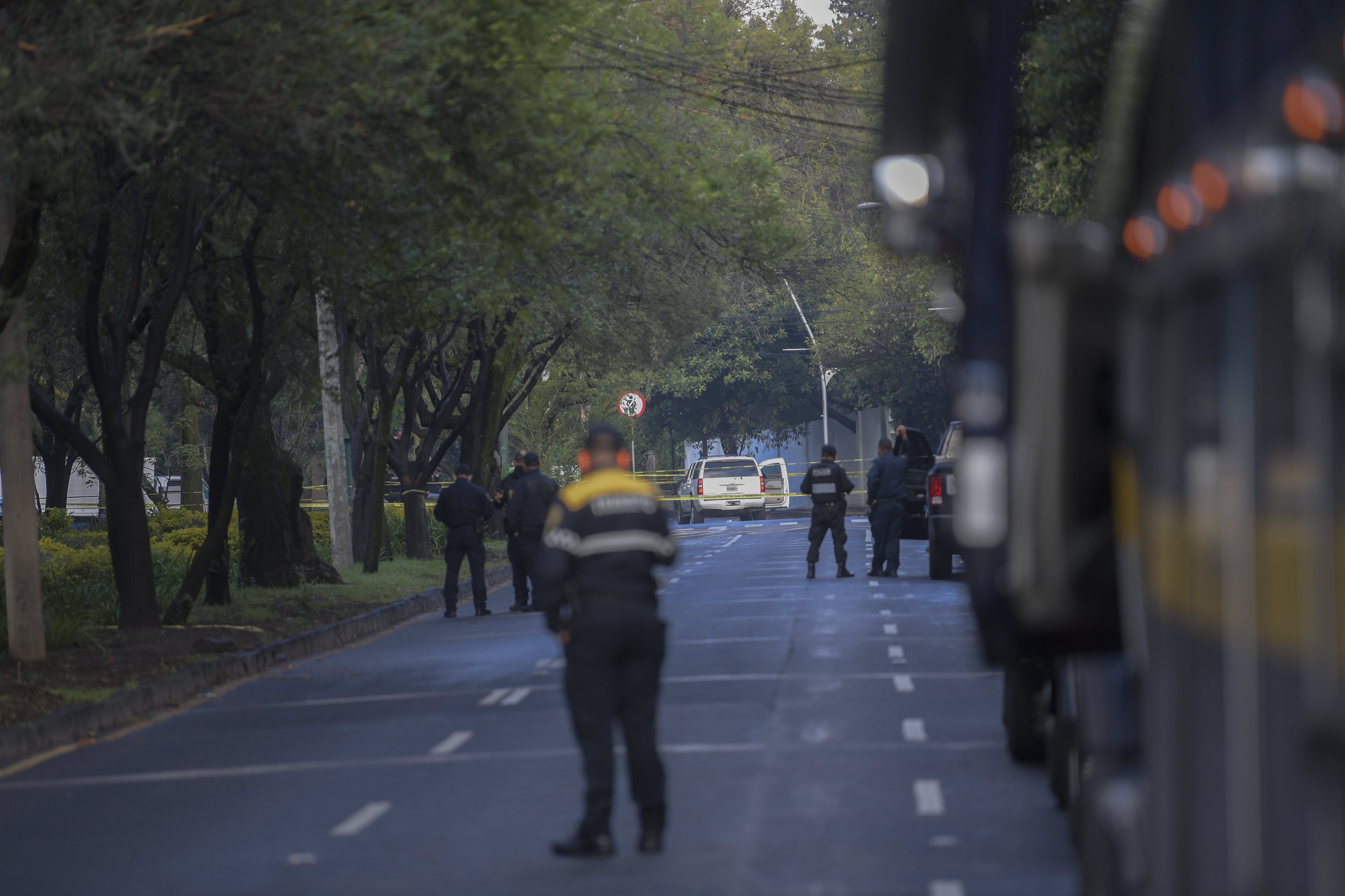 Foto: PEDRO PARDO / AFP.