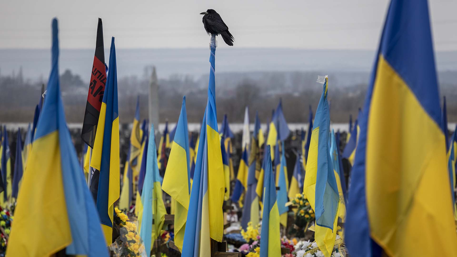 Un cuervo se sienta encima de una bandera ucraniana en la sección militar de un cementerio el 11 de febrero de 2023 en Kharkiv, Ucrania.