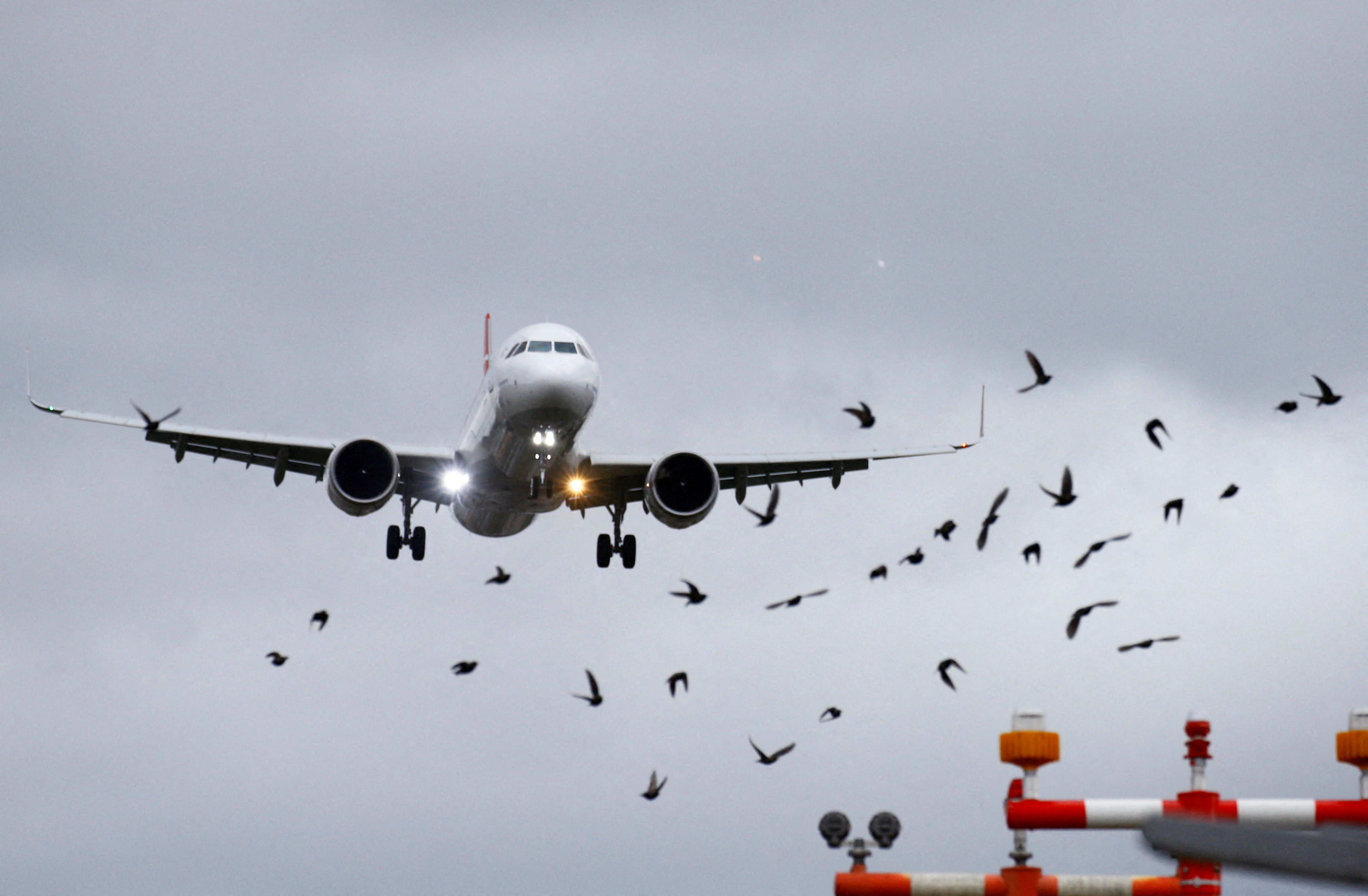 FILE PHOTO: A flock of birds flies as an Airbus A321 aircraft of Turkish Airlines approaches to land at Zurich Airport near Kloten, Switzerland February 21, 2022.  REUTERS/Arnd Wiegmann/File Photo