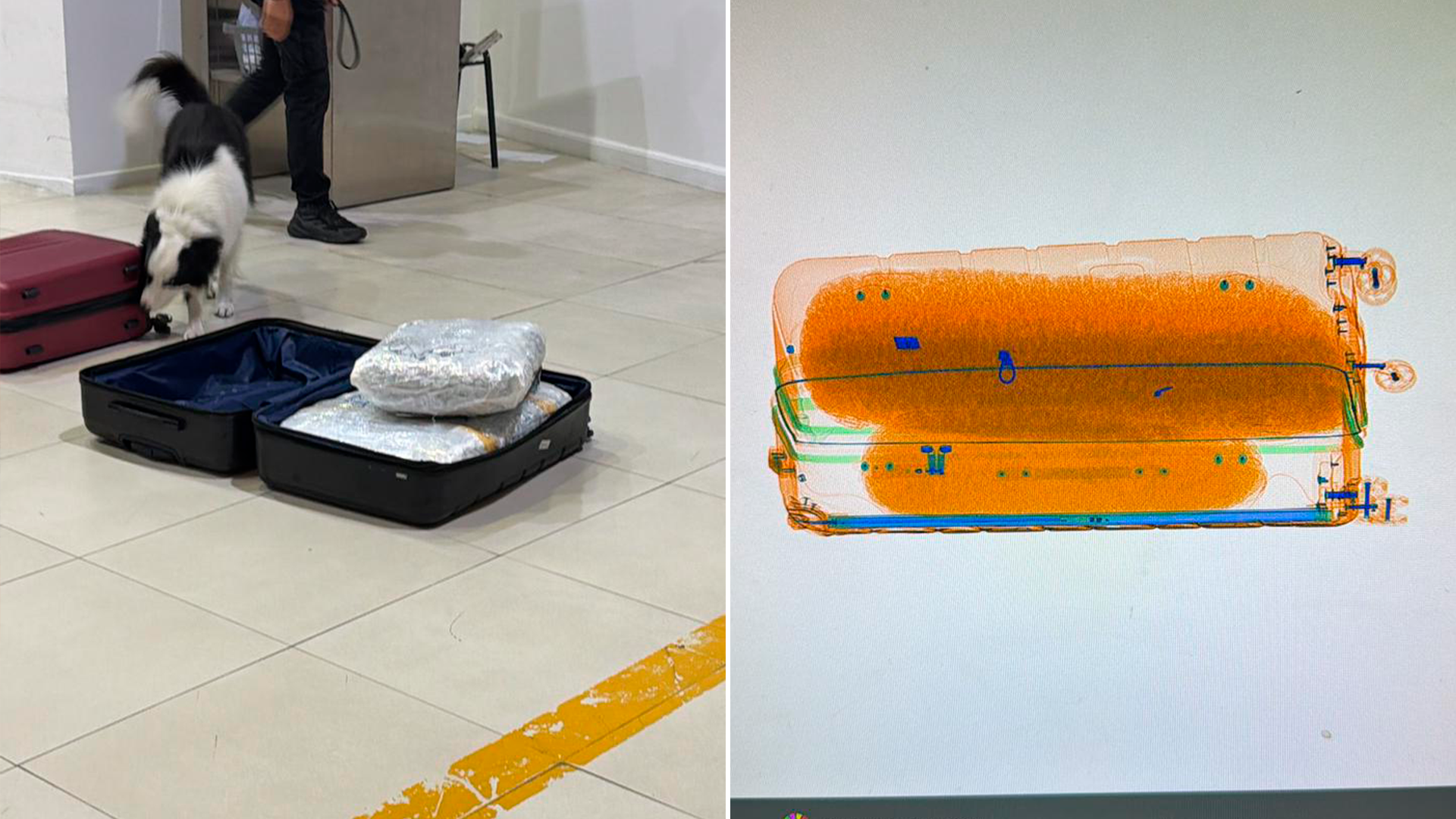 El impactante testimonio de la víctima menor de edad del actor porno de La Matanza