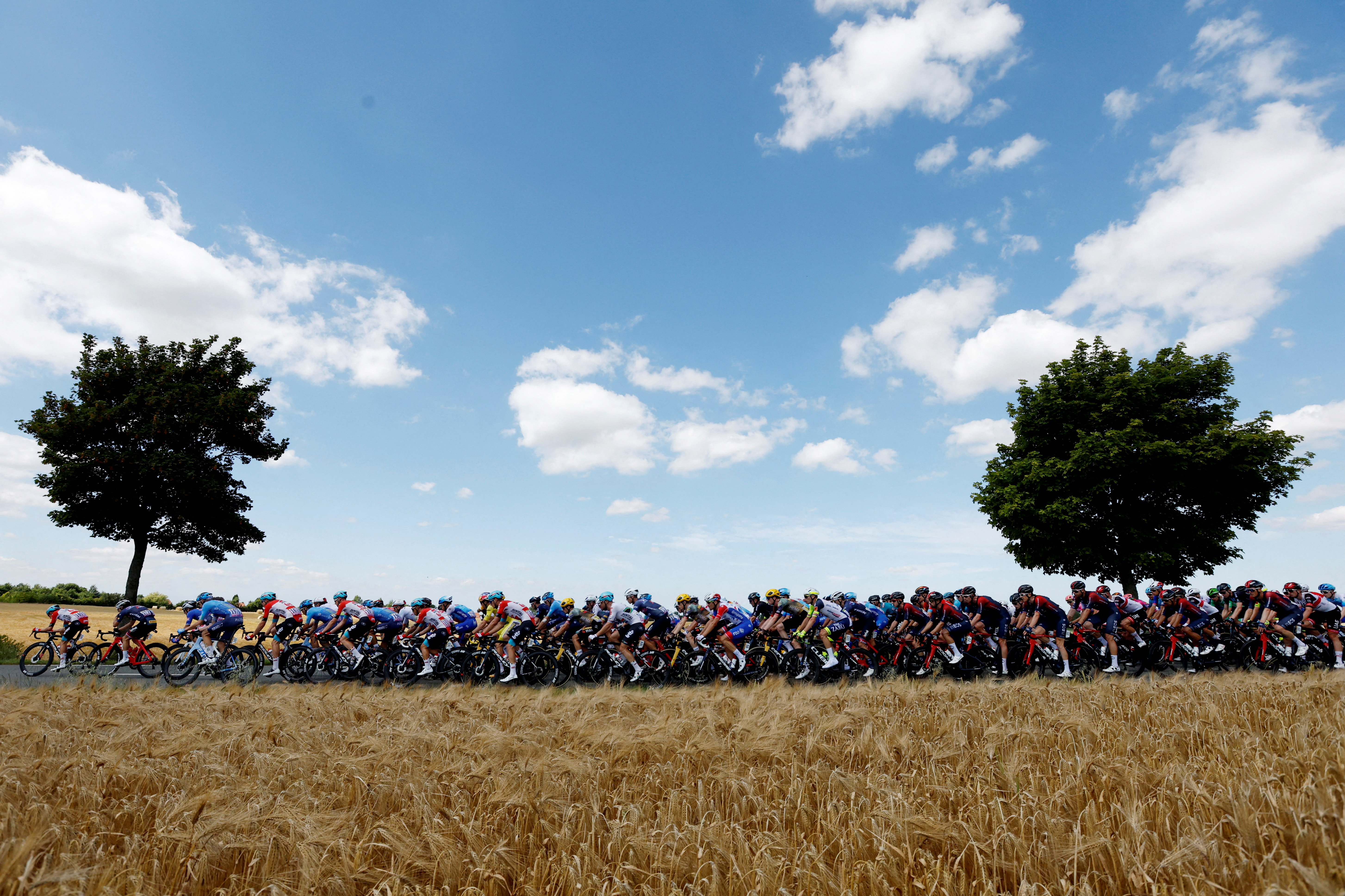 El pelotón de los favoritos en la cuarta etapa del Tour de Francia. 
 Foto: REUTERS/Gonzalo Fuentes   