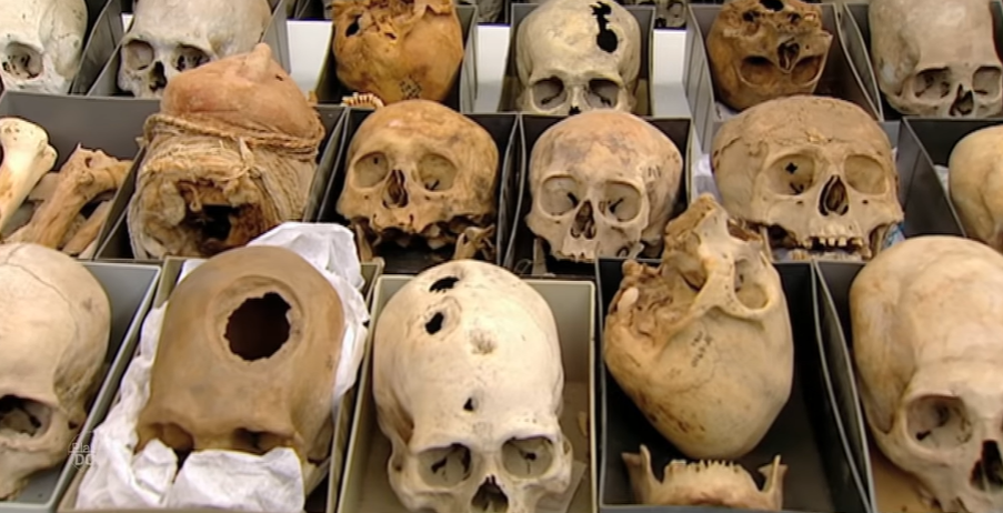 Una muestra de los cráneos hallados en Paracas, Perú. (Planet Doc)