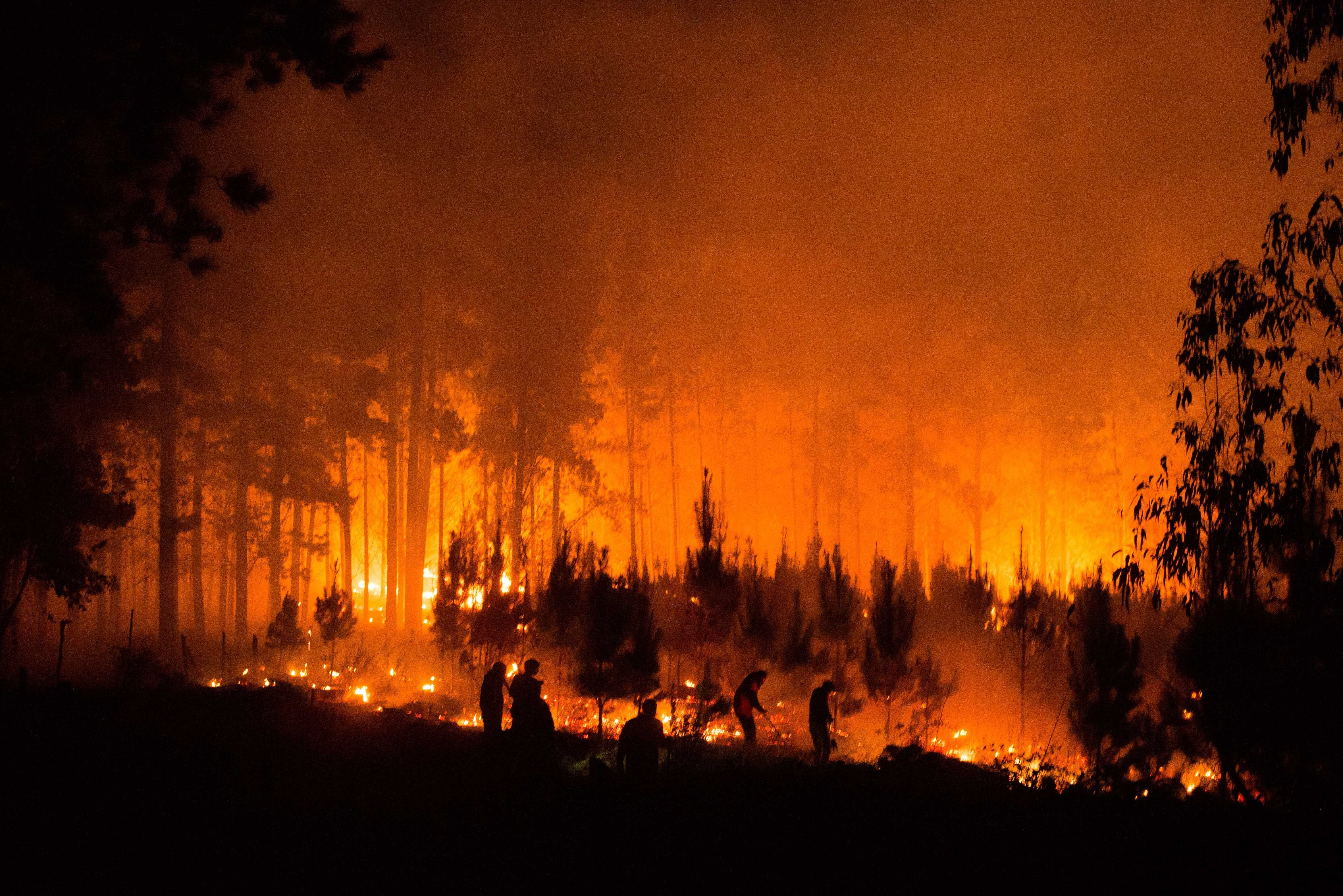 Los incendios forestales aumentarán su frecuencia en América Latina