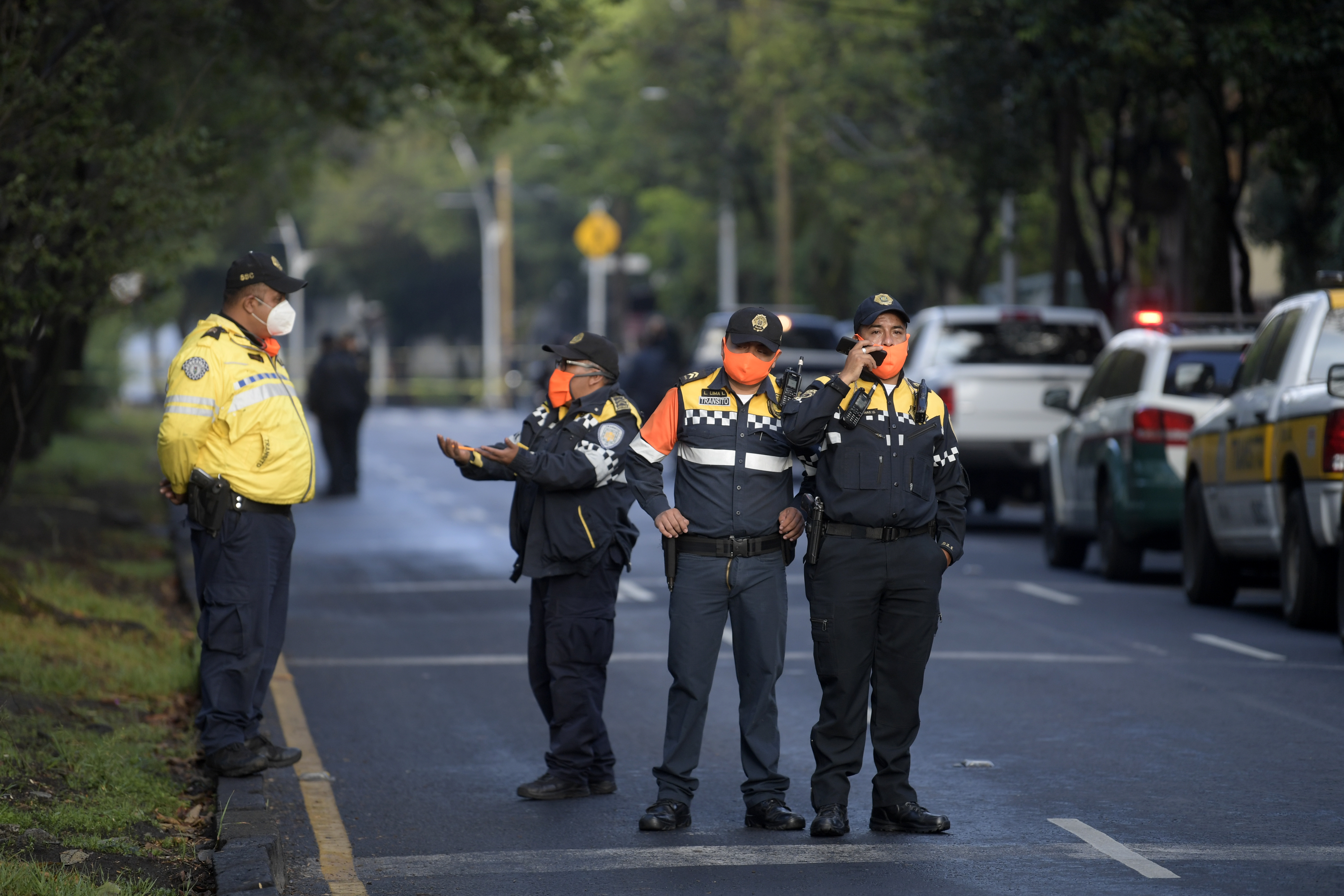 Foto: PEDRO PARDO / AFP.