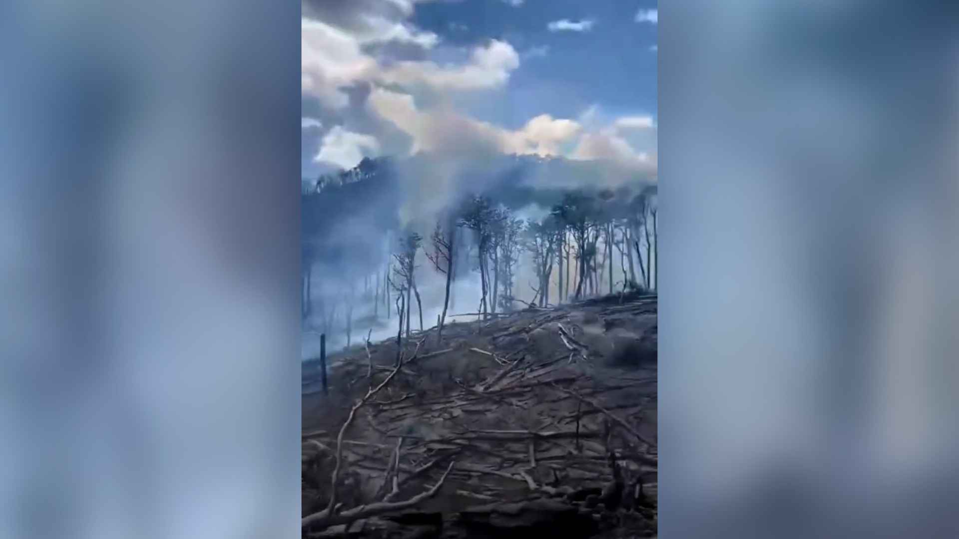 Incendio en Tierra del Fuego: los sectores más afectados son la Isla Guanaco y el sector aledaño a la zona Estancia Los Cerros