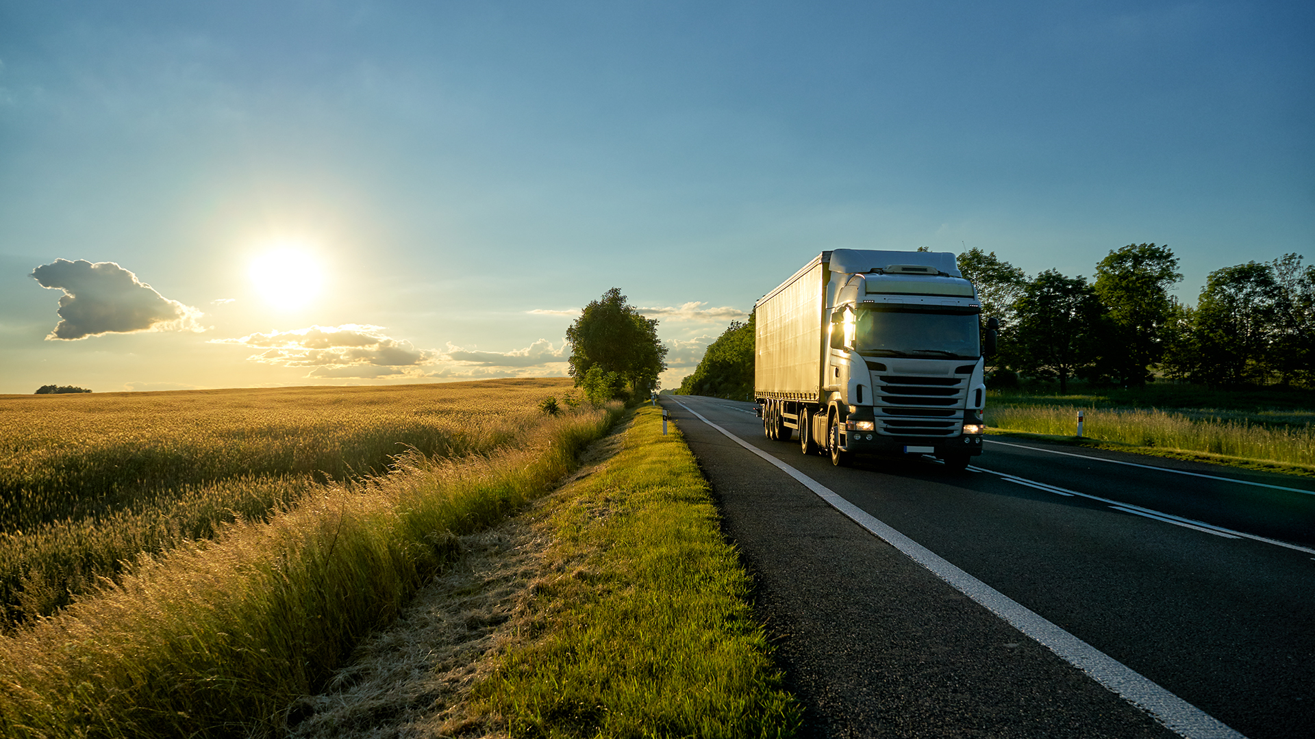 La plataforma YPF Ruta permite un manejo eficiente que ahorra hasta el 20% del consumo de combustible (Créditos: Getty Images) 