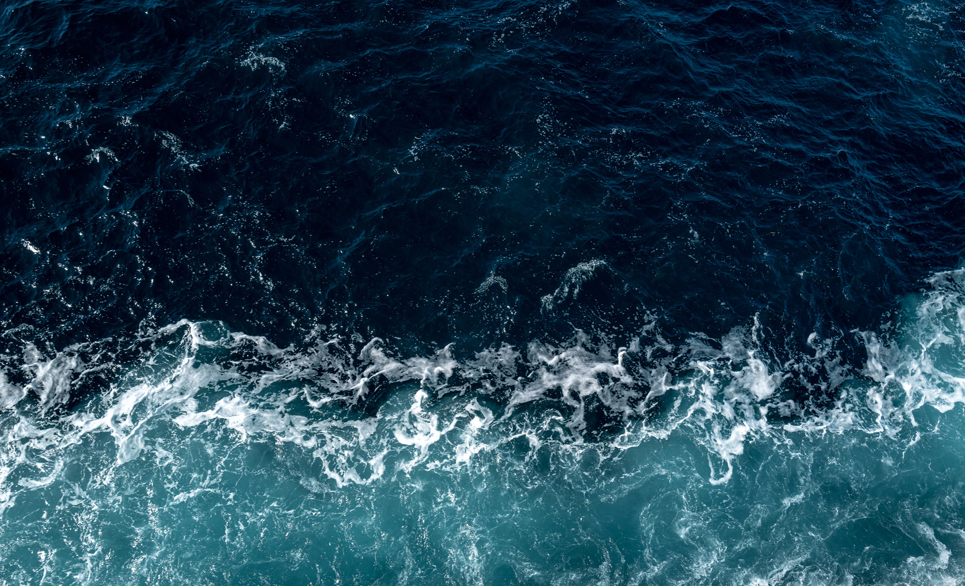Cómo son las olas de calor marinas que ocurren en el fondo del océano y cuáles son sus consecuencias