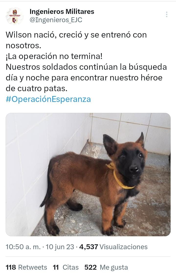Continúa la búsqueda de Wilson, el perro clave en el rescate de los cuatro niños indígenas en el Guaviare. @Ingenieros_EJC