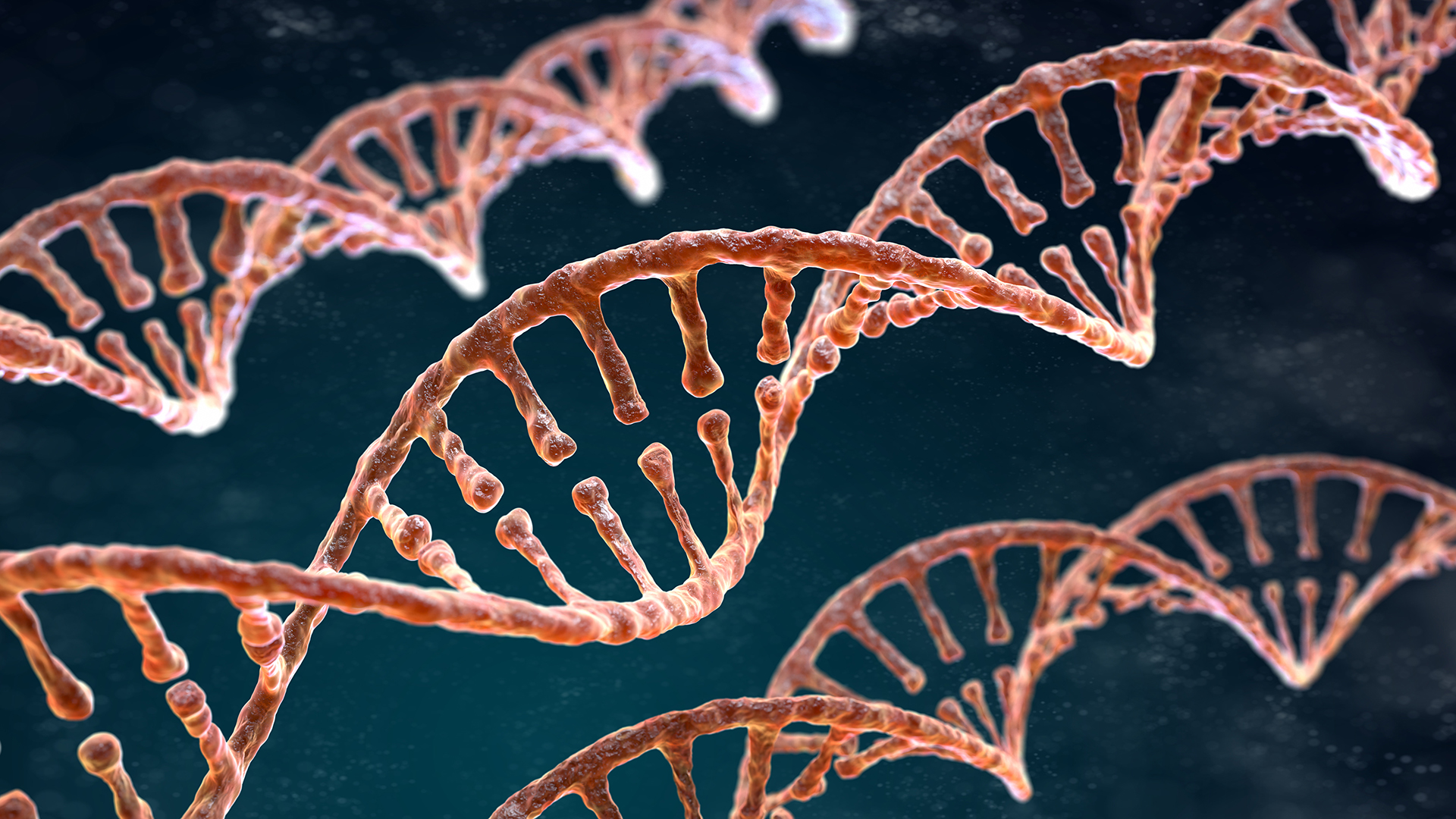 Día Mundial del ADN: cuatro datos claves sobre la molécula de la vida