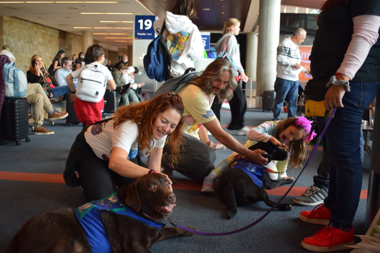 Aerofobia: así trabajan los perros entrenados para asistir a personas con estrés antes del vuelo