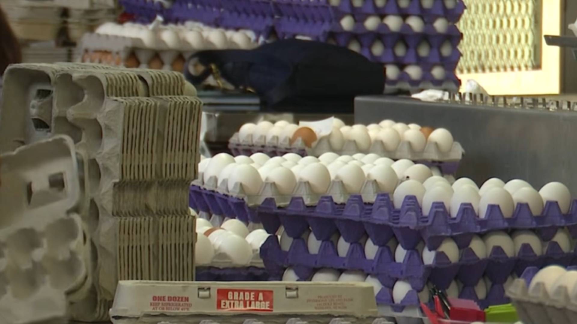 Impuestos: para las empresas es m&aacute;s caro donar alimentos que tirarlos