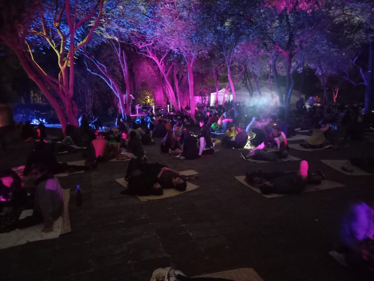 Evening Picnics Return To Chapultepec Botanical Garden Days Times And Everything You Need To