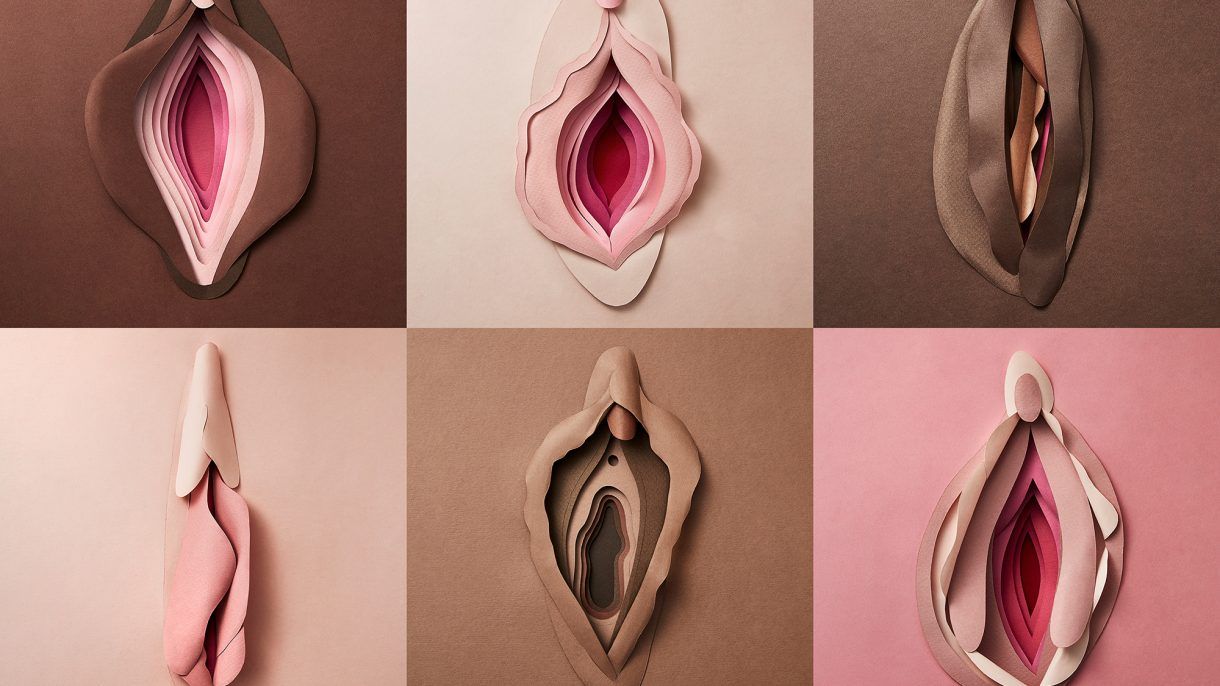 Día de la Vulva: ¿sabías que los genitales femeninos tienen 6 orificios? -  Infobae