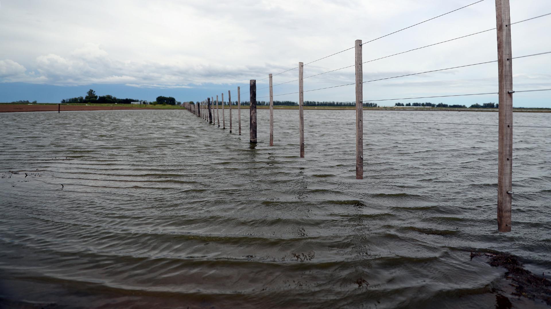 La ministra de Cultura de Francia defiende el concierto de la Filarmónica de Israel en París: “Nada justifica un boicot”