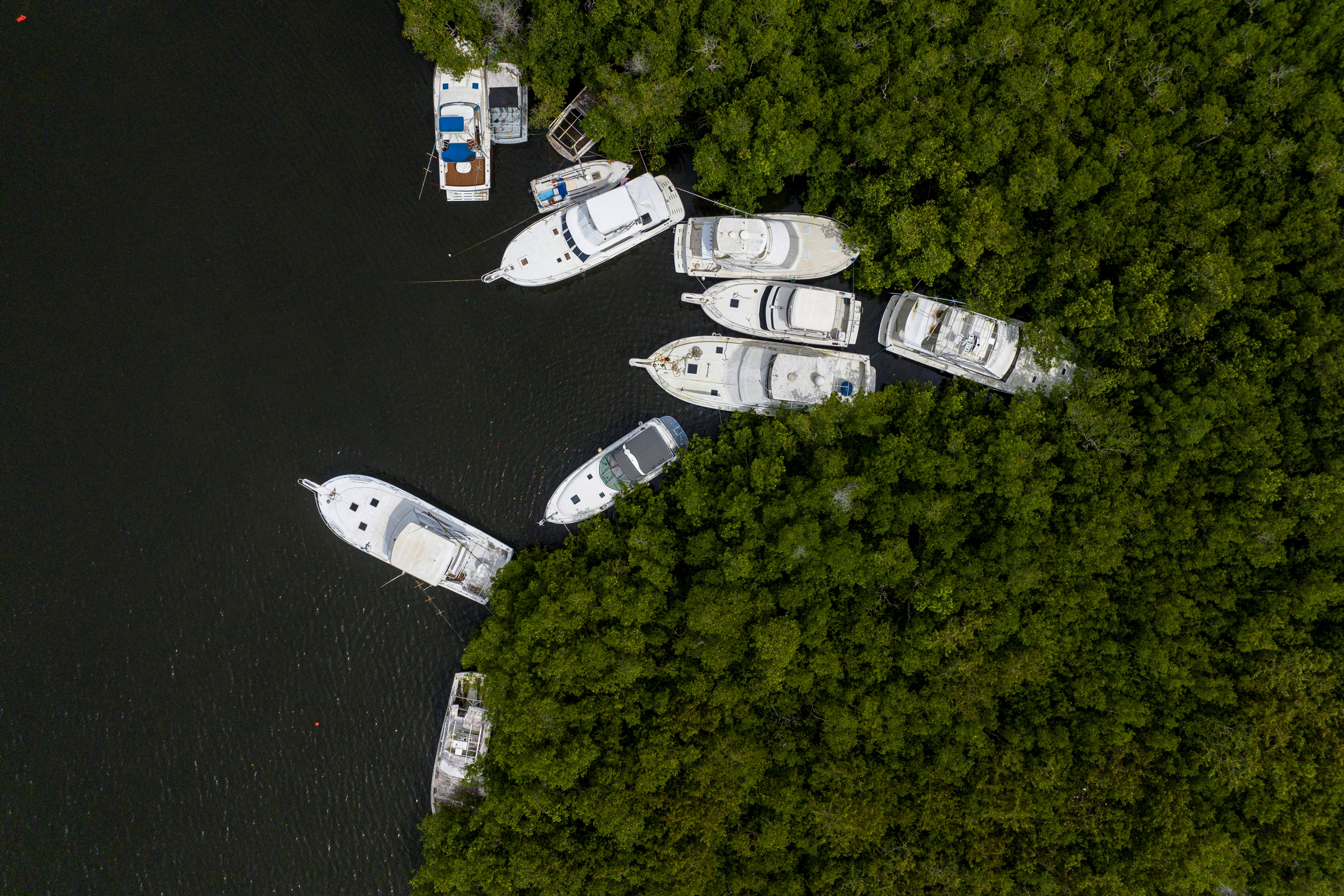 Los botes se sientan asegurados a los manglares cuando el huracán Fiona se acerca a Cabo Rojo, Puerto Rico. REUTERS/Ricardo Arduengo
