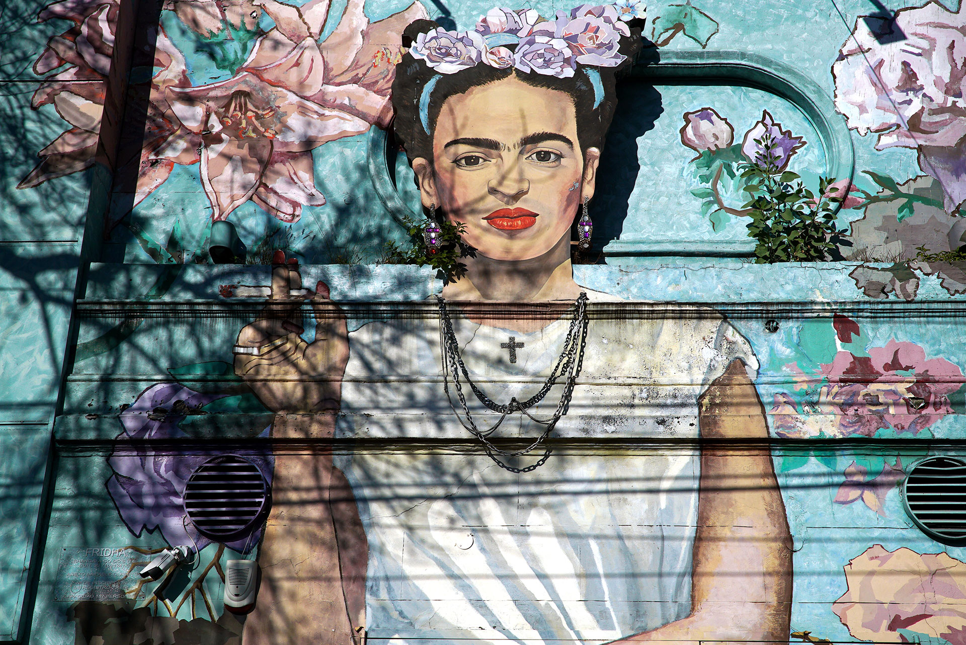 En el barrio de Colegiales habrá visitas con foco en los graffitis