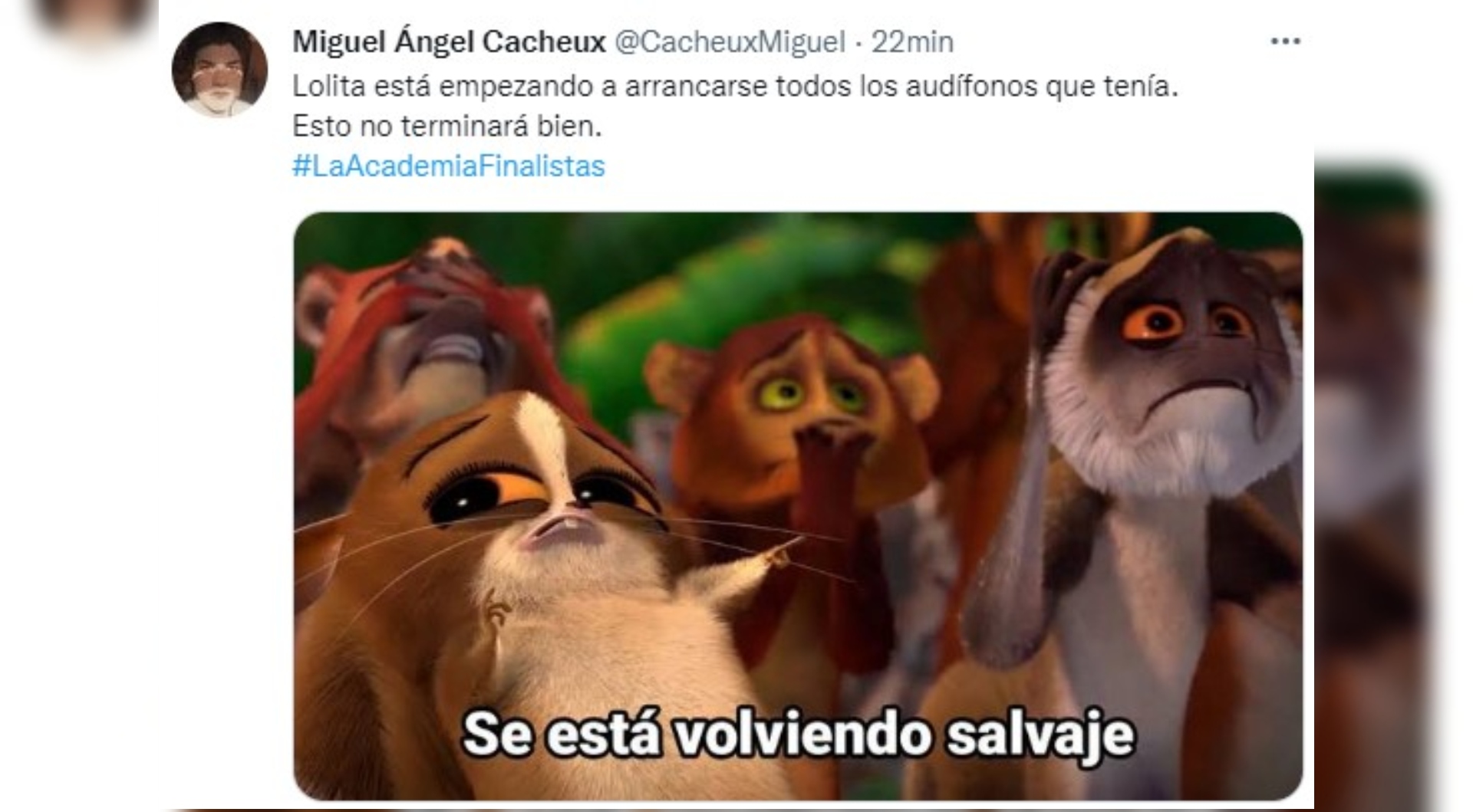 Captura: Twitter/@CacheuxMiguel