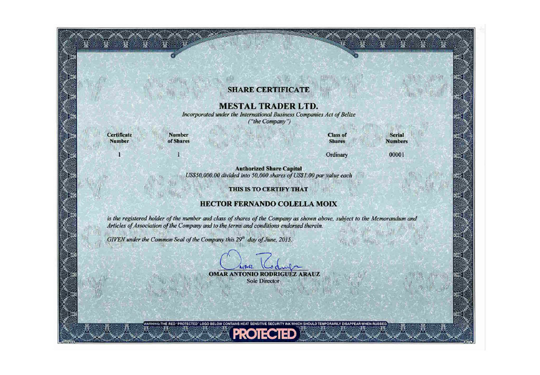 Certificado accionario de Mestal Trader en favor de Héctor Colella